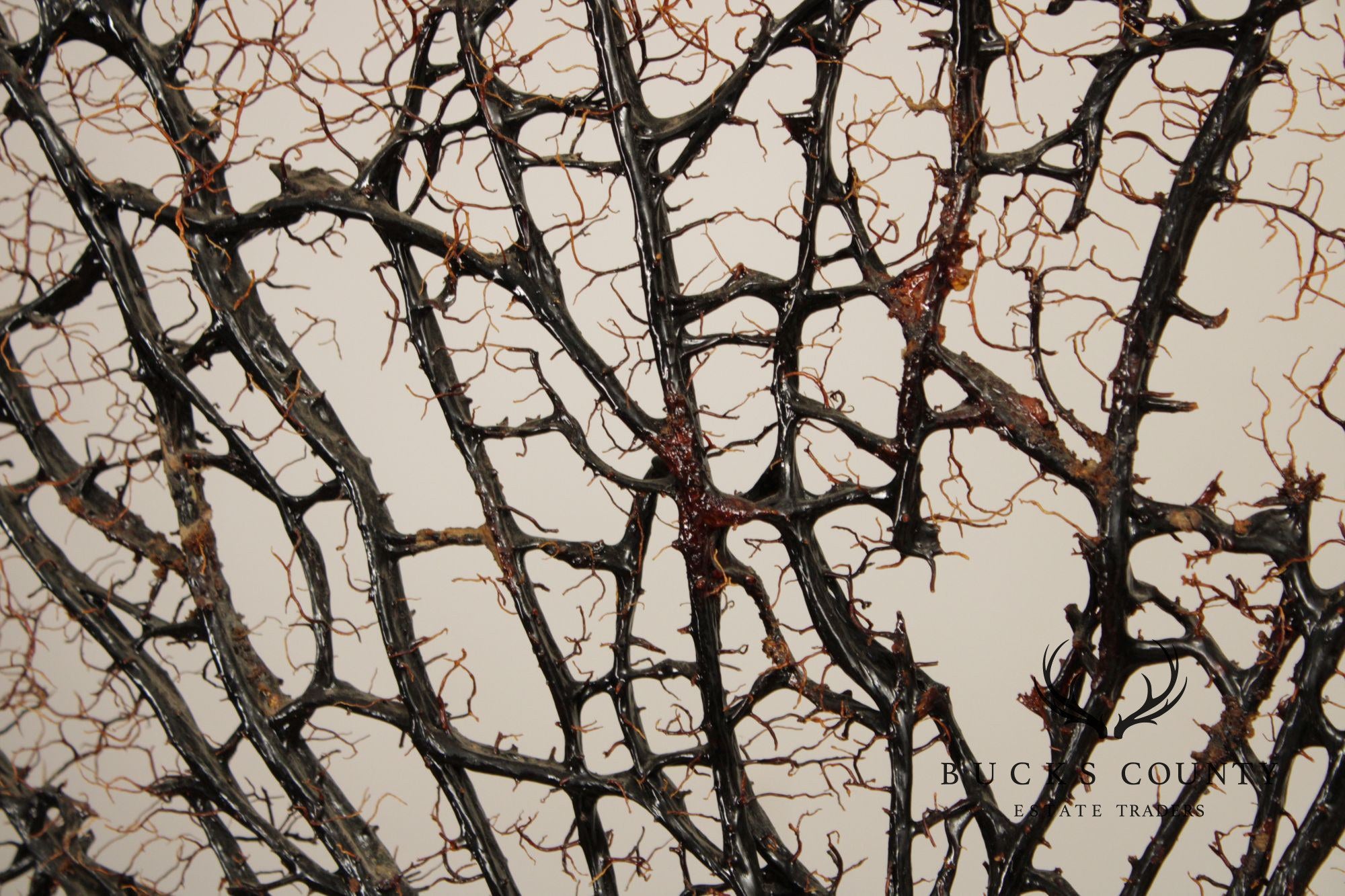 Modern Style Polished Stainless Steel Pedestal With Coral Fan Sculpture