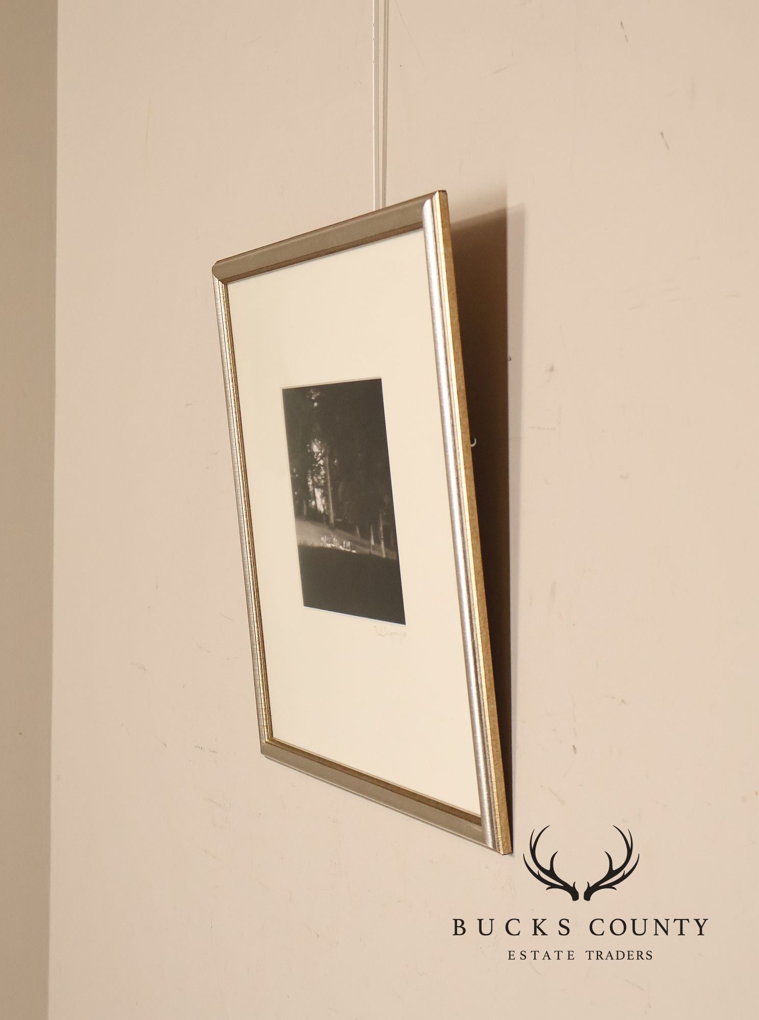 Paul Caponigro Original Print, 'Standing White Deer, County Wicklow, Ireland'