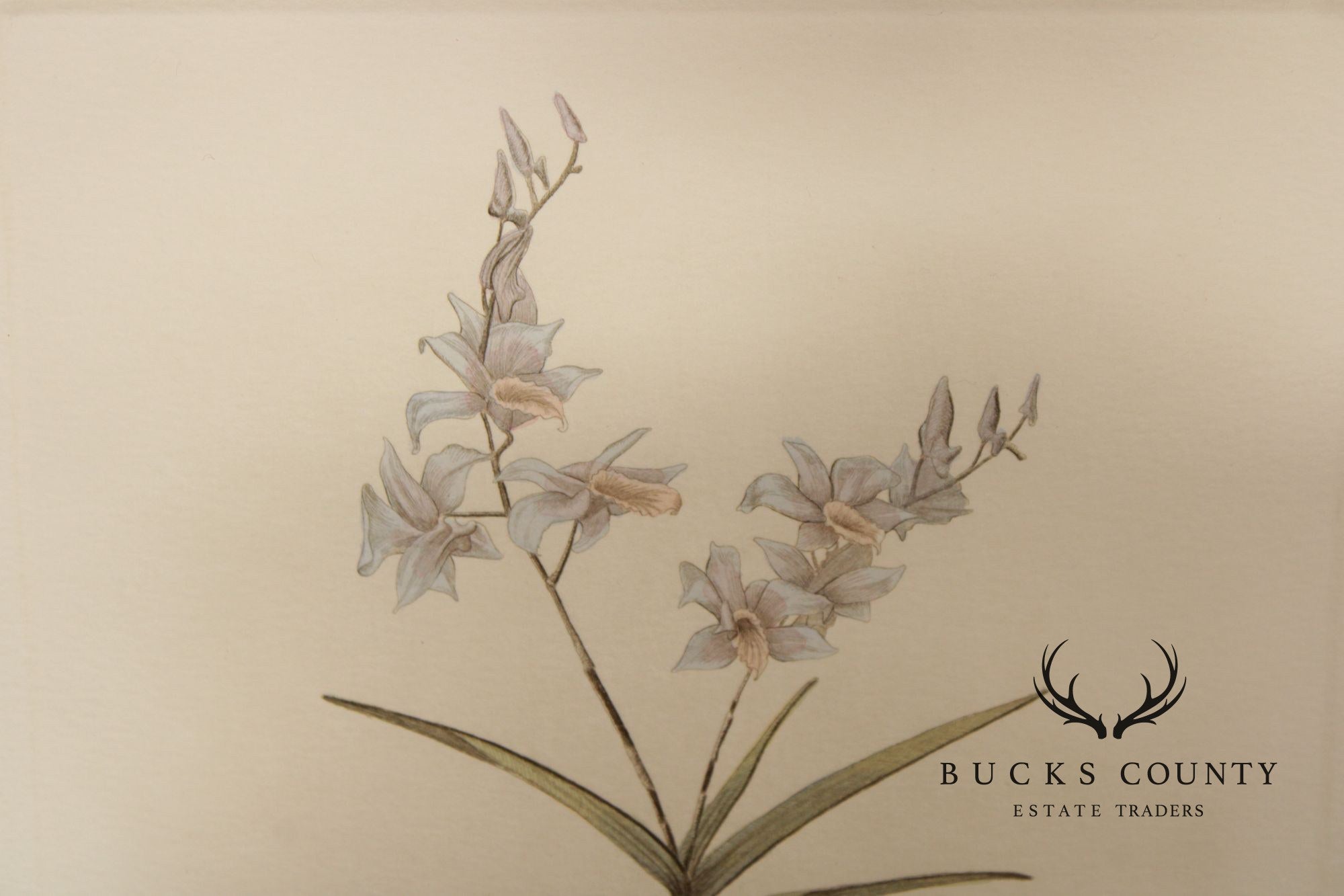 Rick Loudermilk Pair of Signed Limited Edition Prints, 'Orchid III' & 'Orchid IV'
