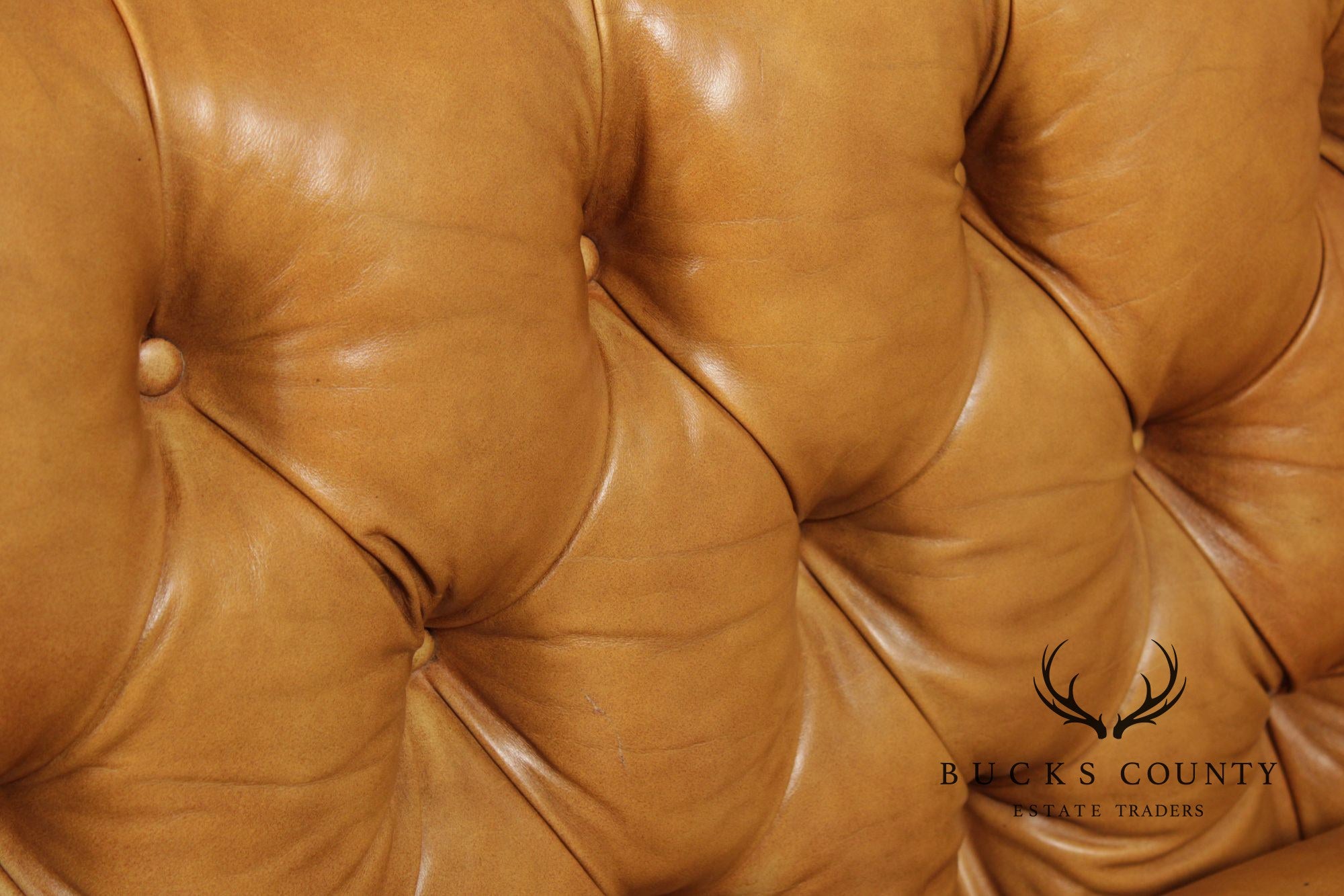 Antique English Regency Mahogany and Tufted Leather Sofa