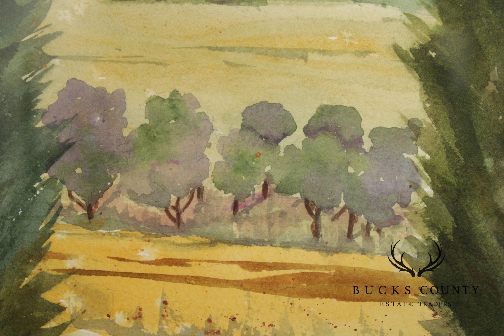 Ann M. Howes Watercolor Landscape Painting, 'Through the Cypress Trees'