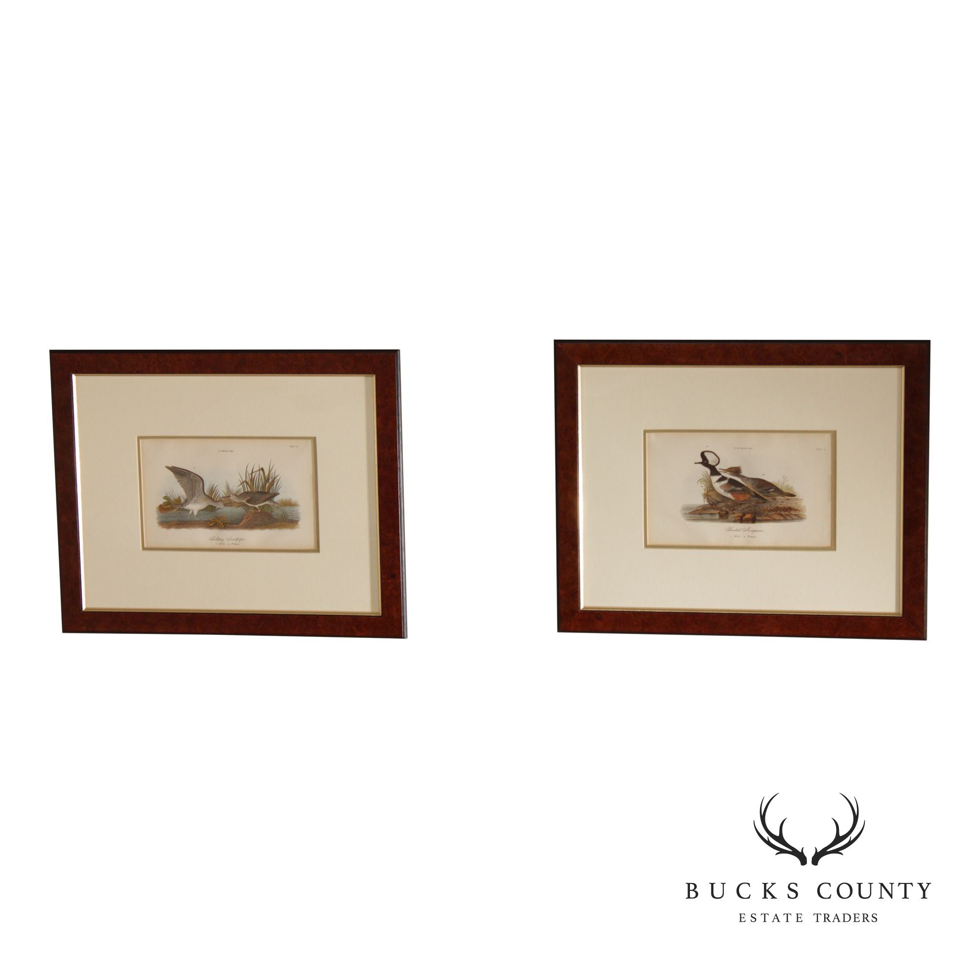 Pair of Ornithological Prints from 'Report on the Birds of Pennsylvania'