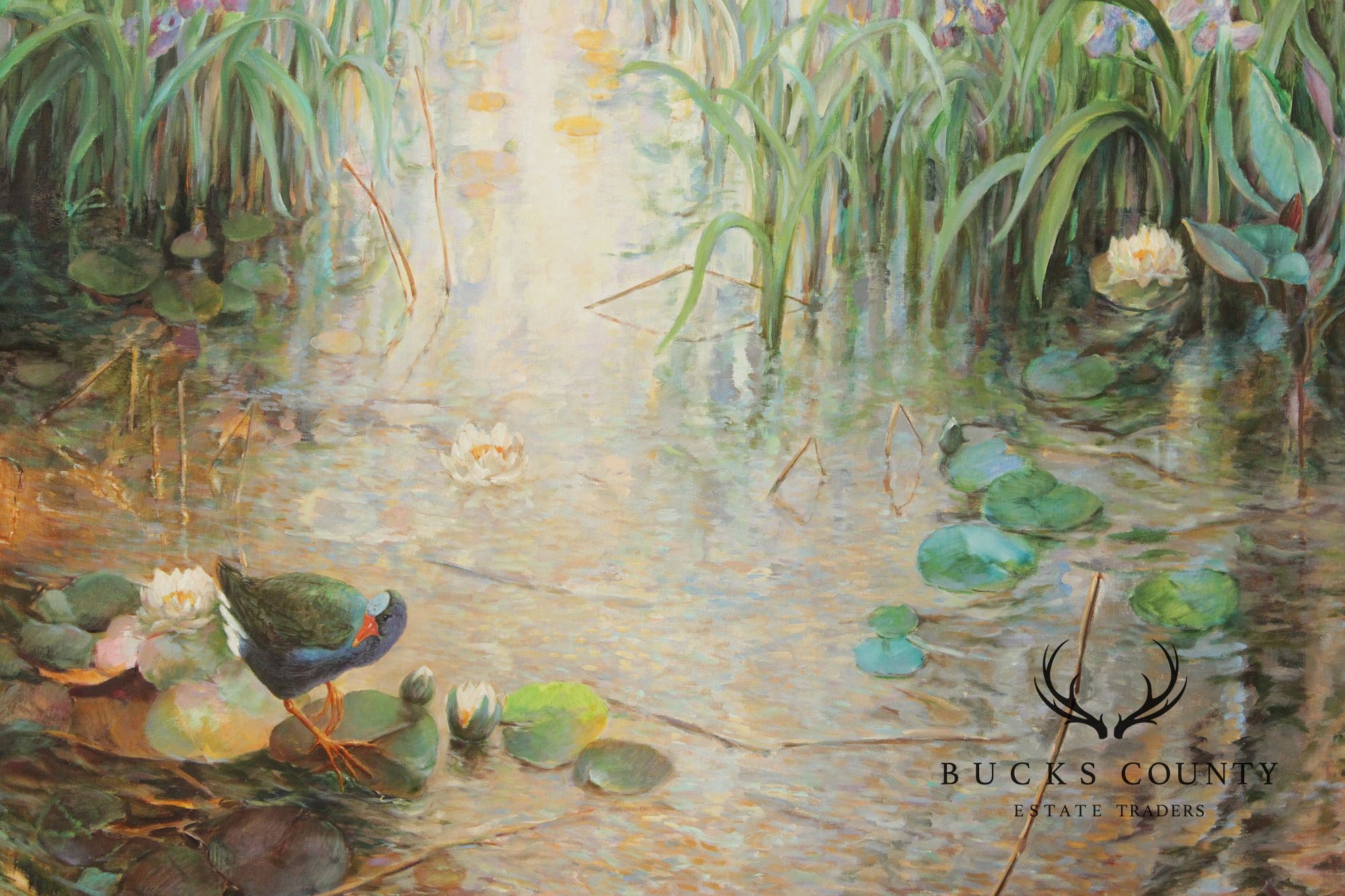Walter Greer Oil Painting, 'Pond with Galinule'
