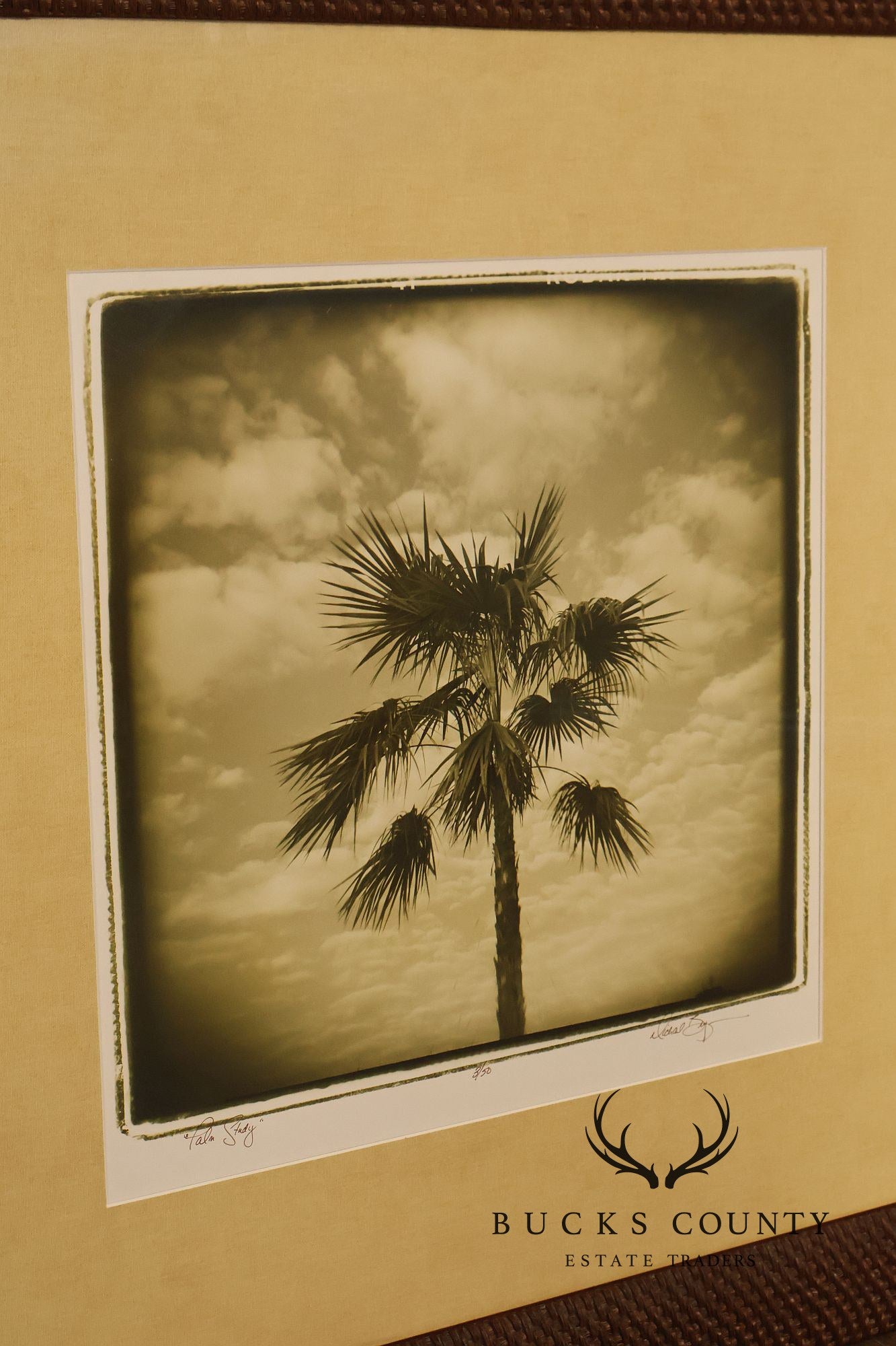 Michael Bryant Pair of Framed Photographs, 'Palm Study'