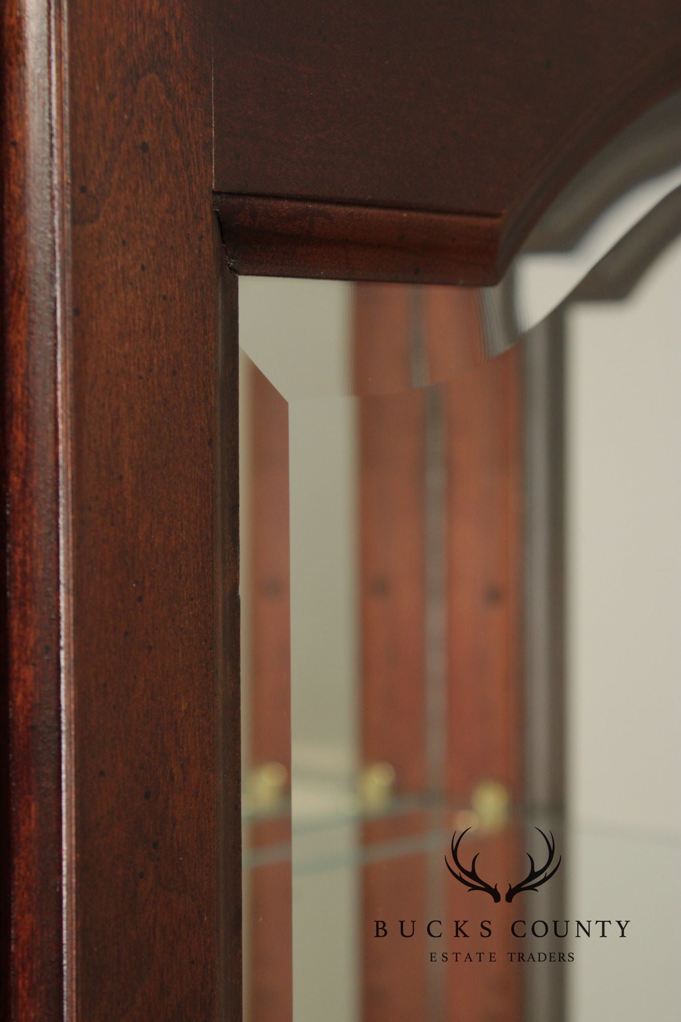 Jasper Traditional Cherry and Beveled Glass Display Cabinet