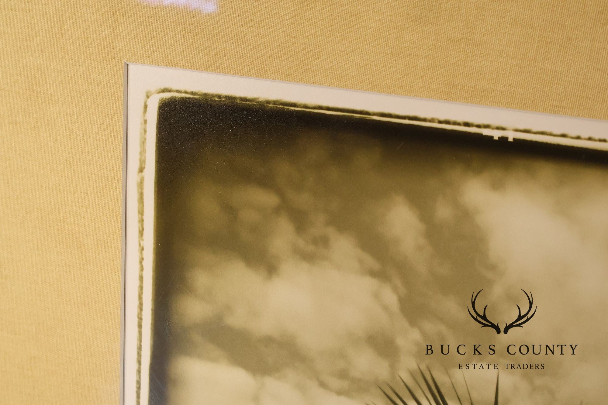 Michael Bryant Pair of Framed Photographs, 'Palm Study'