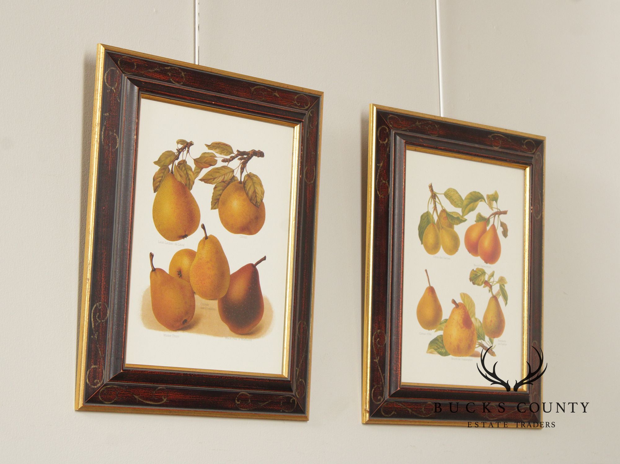 Chelsea House Decorative Pair of Pear Prints