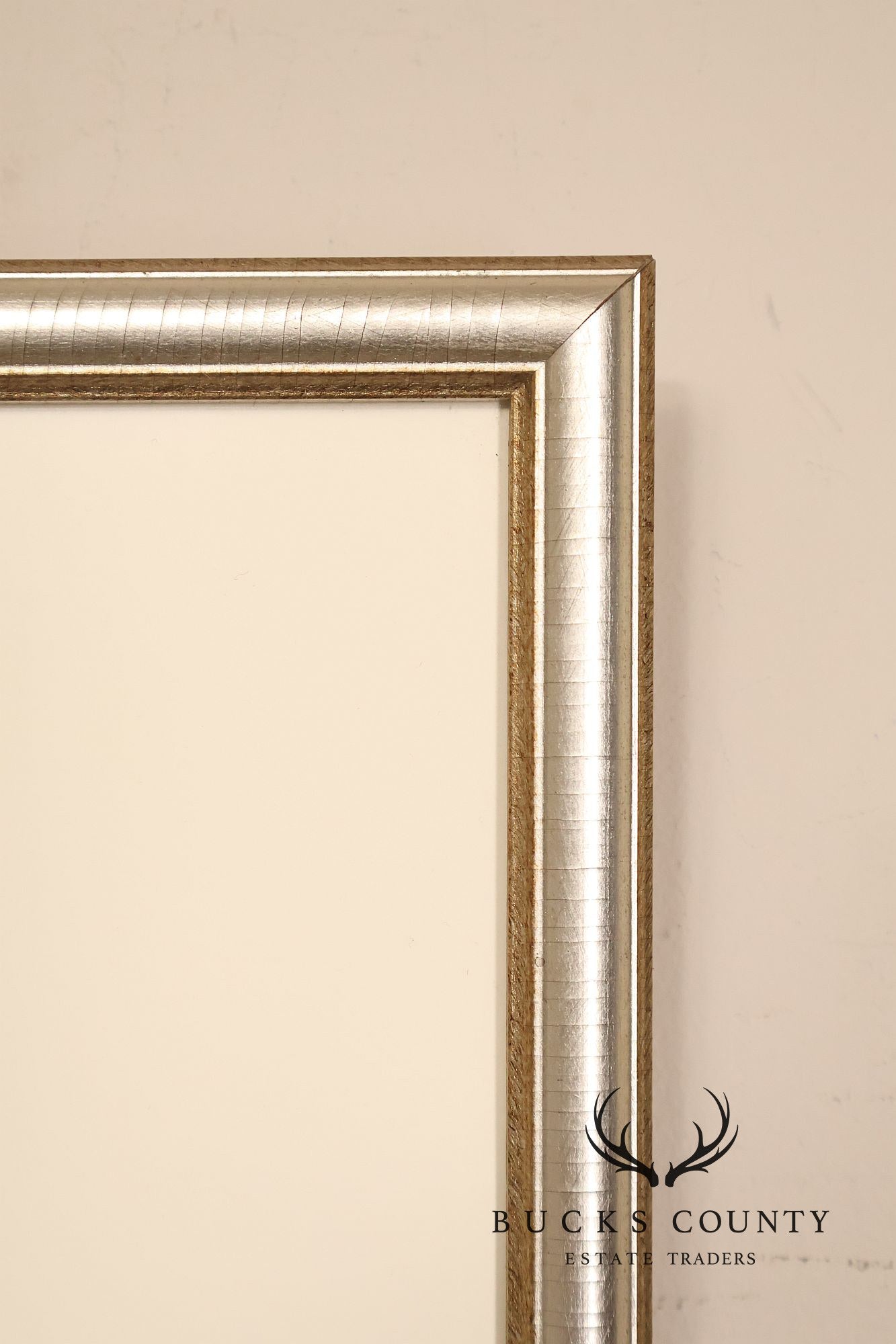 Paul Caponigro Original Print, 'Standing White Deer, County Wicklow, Ireland'