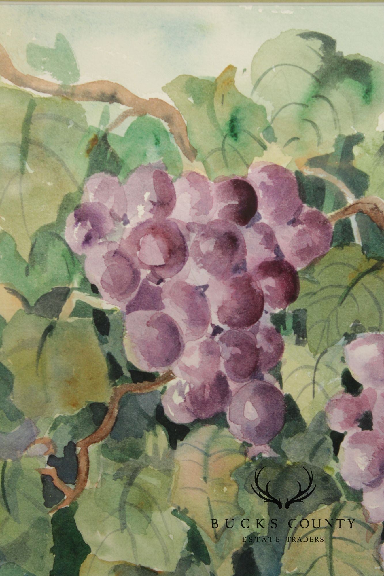 Libby Anderson Watercolor, Still Life of Grapevine