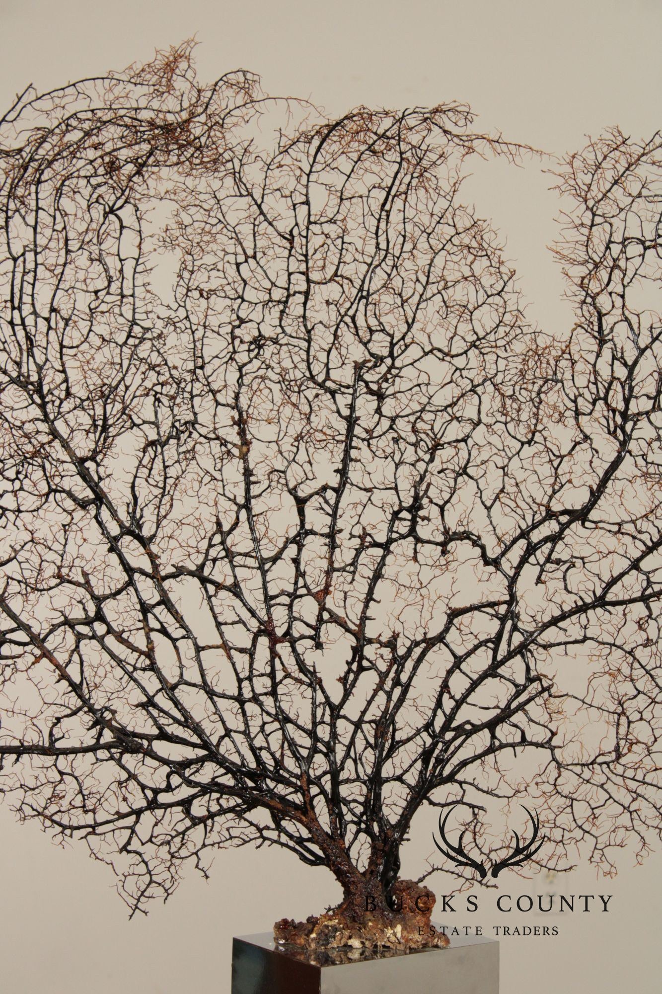 Modern Style Polished Stainless Steel Pedestal With Coral Fan Sculpture