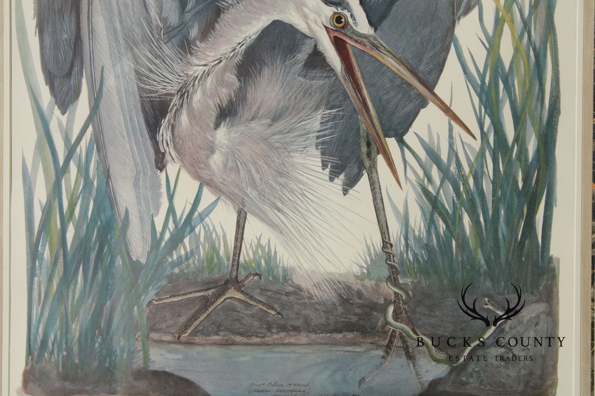 Carroll Tyson, Jr. Offset Lithograph, 'Great Blue Heron'