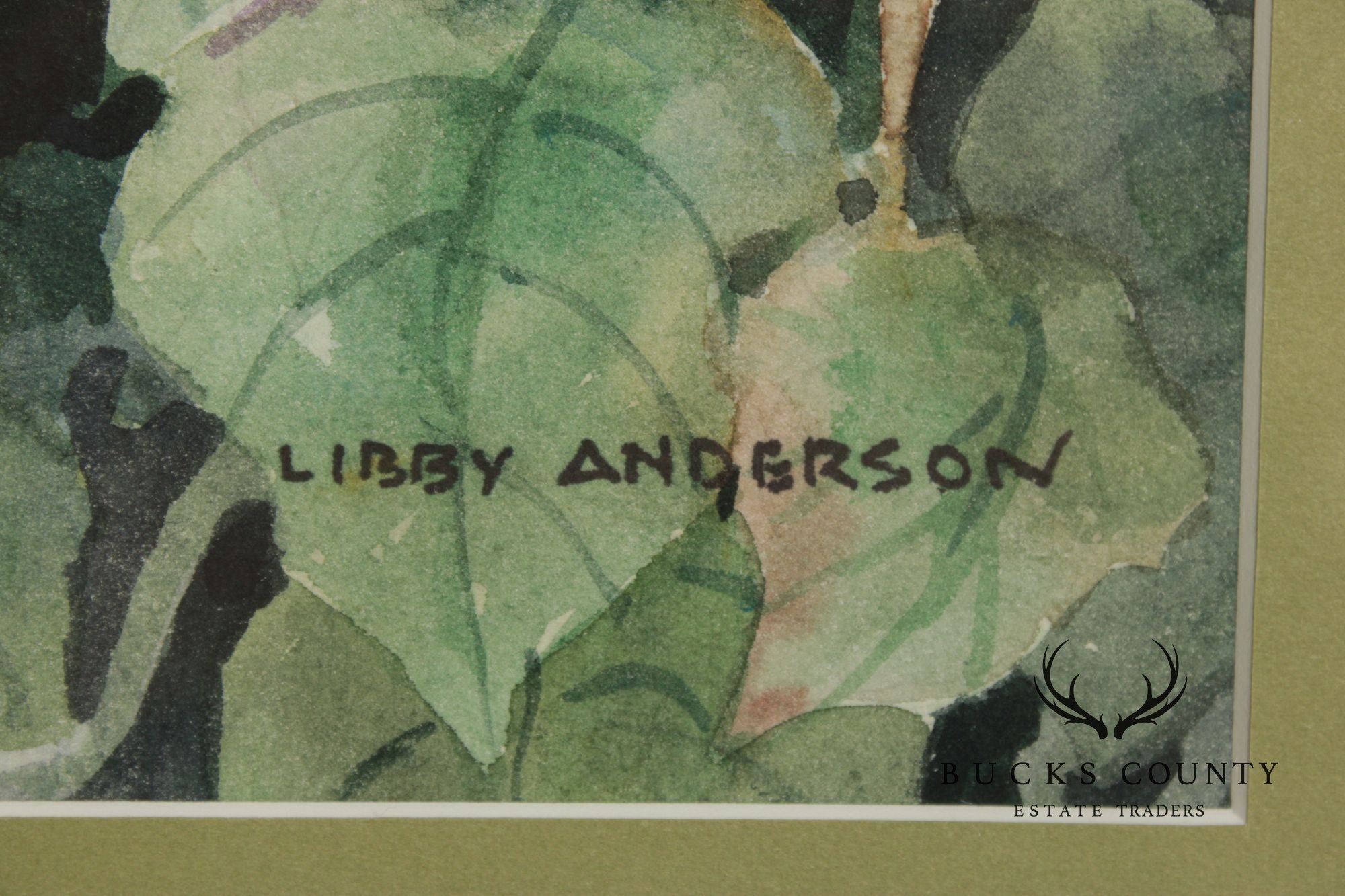 Libby Anderson Watercolor, Still Life of Grapevine