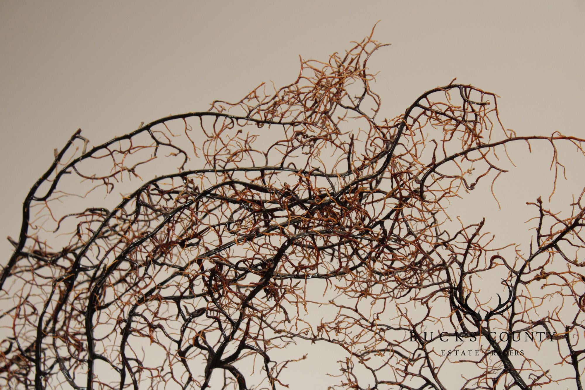 Modern Style Polished Stainless Steel Pedestal With Coral Fan Sculpture