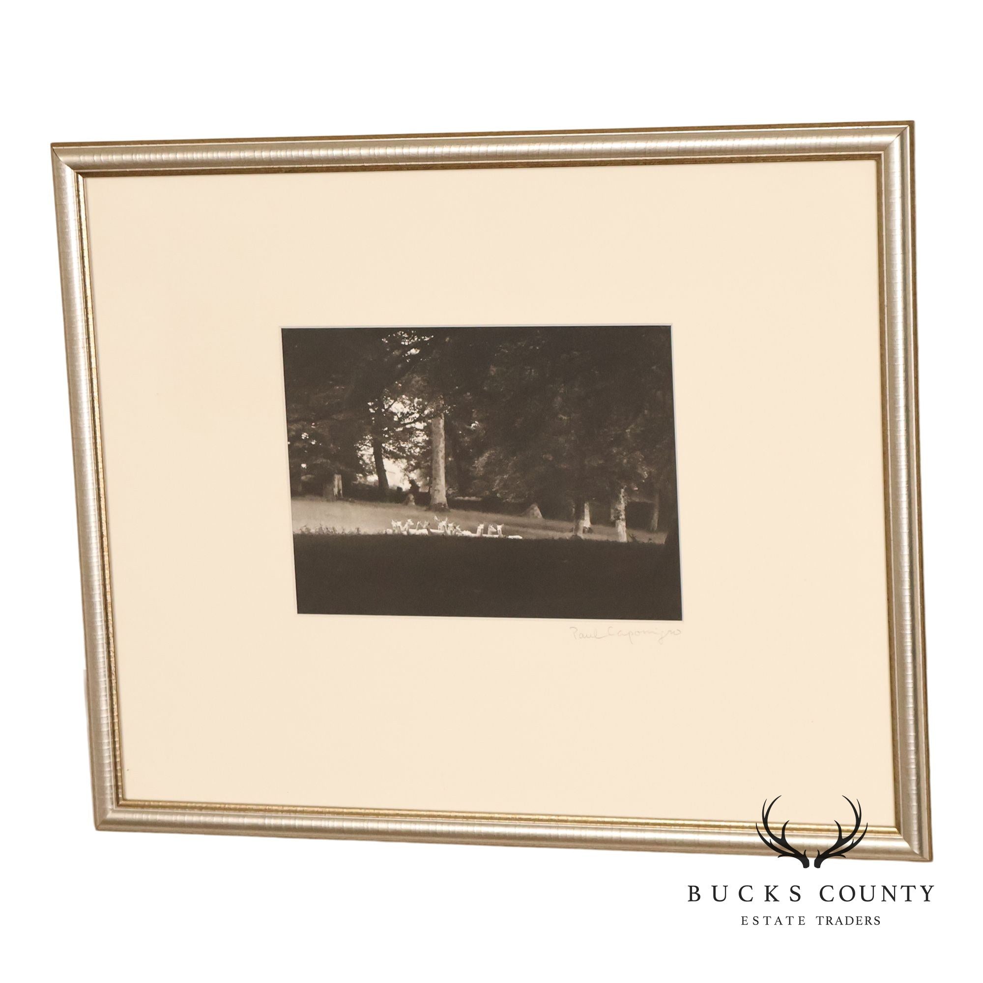 Paul Caponigro Original Print, 'Standing White Deer, County Wicklow, Ireland'
