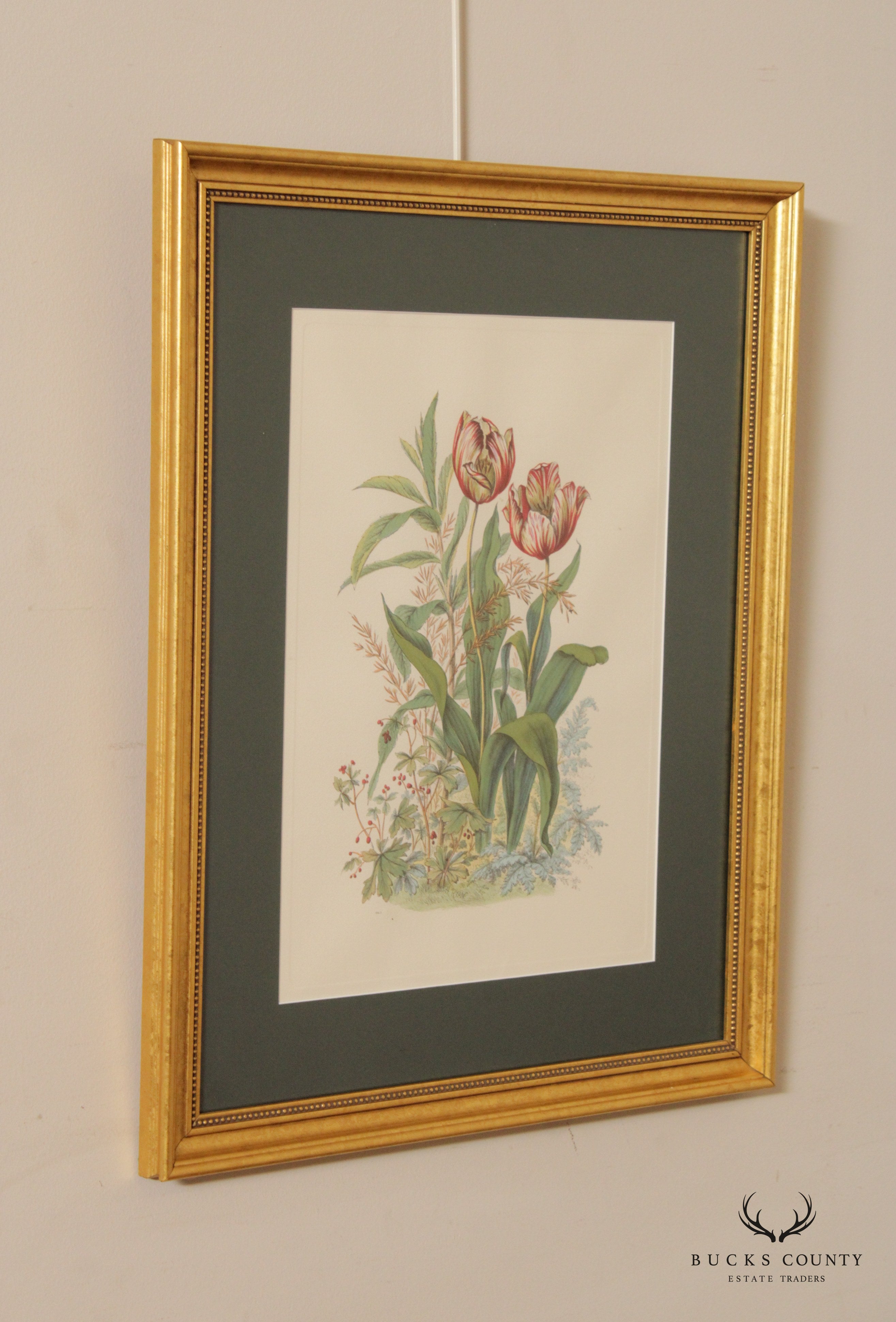 Vintage Tulip Botanical Lithograph Print Signed 'H. Ryan'