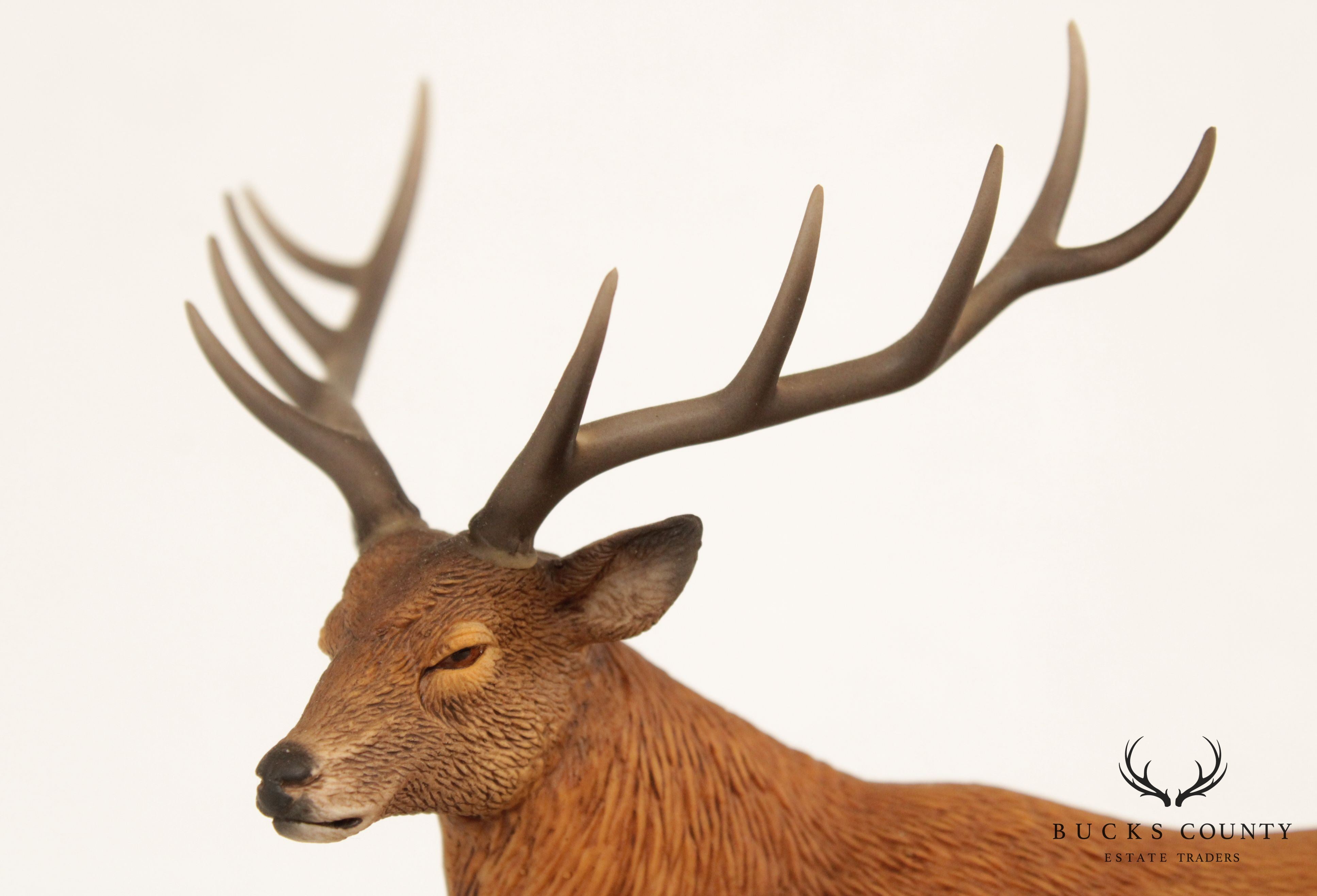 Lenox Wildlife of the Seven Continents, European Red Deer