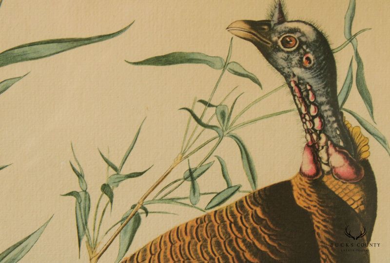 Vintage 20th C. American Craft Print Guild Wild Turkey, After John James Audubon