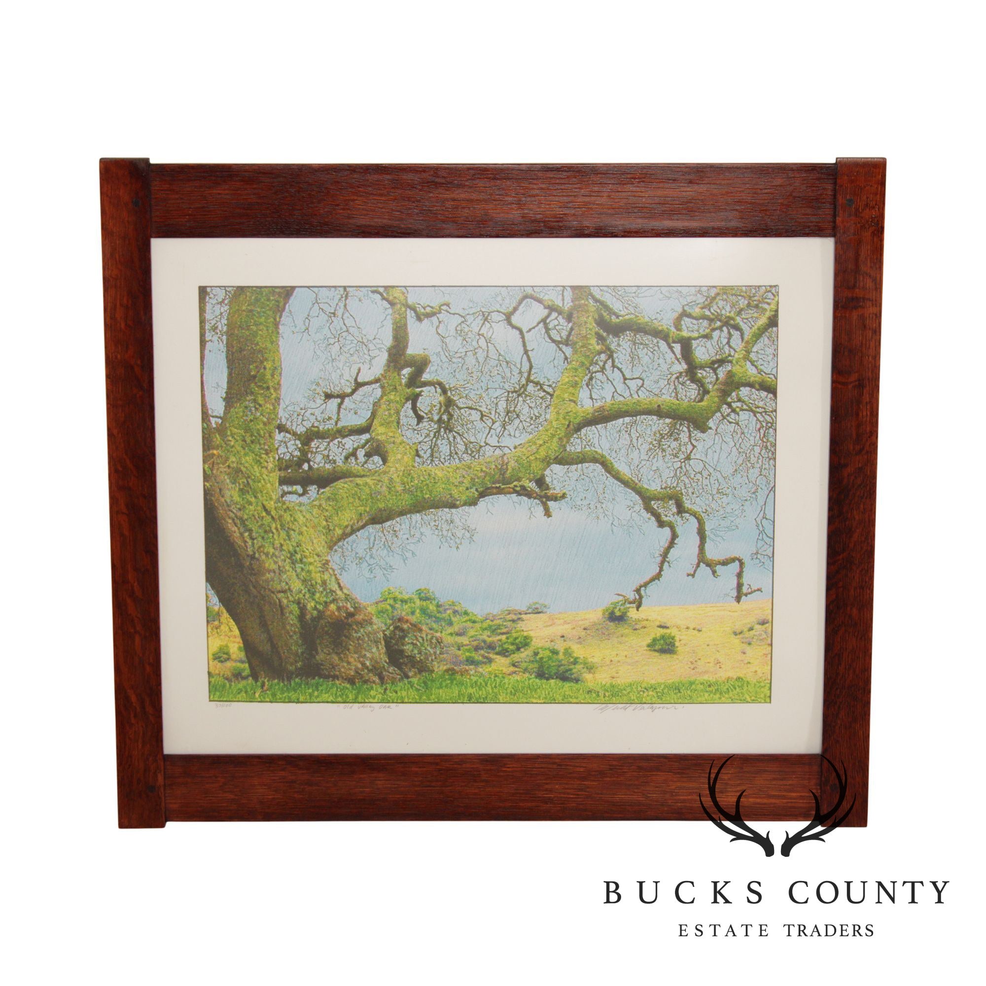 Michael Verlangieri 'Old Oak Valley' Giclee Print