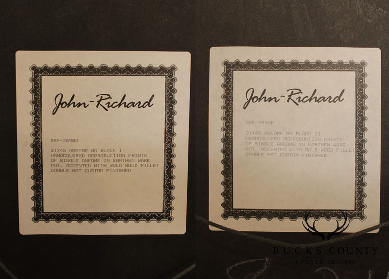 John Richard Custom Framed Pair Hand Colored Prints