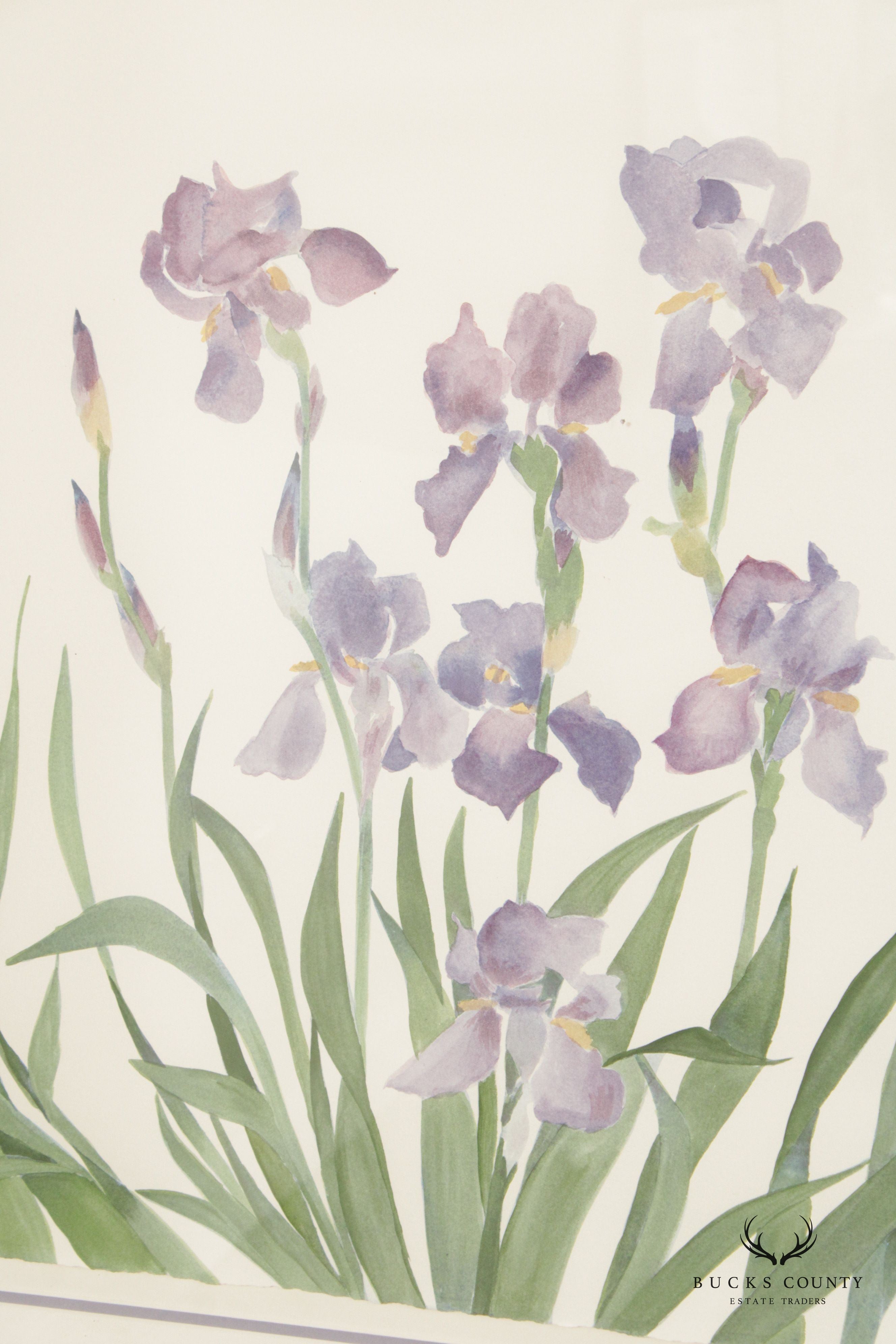 Susan Headley Van Campen 1980s 'Iris' Watercolor Painting, Custom Framed