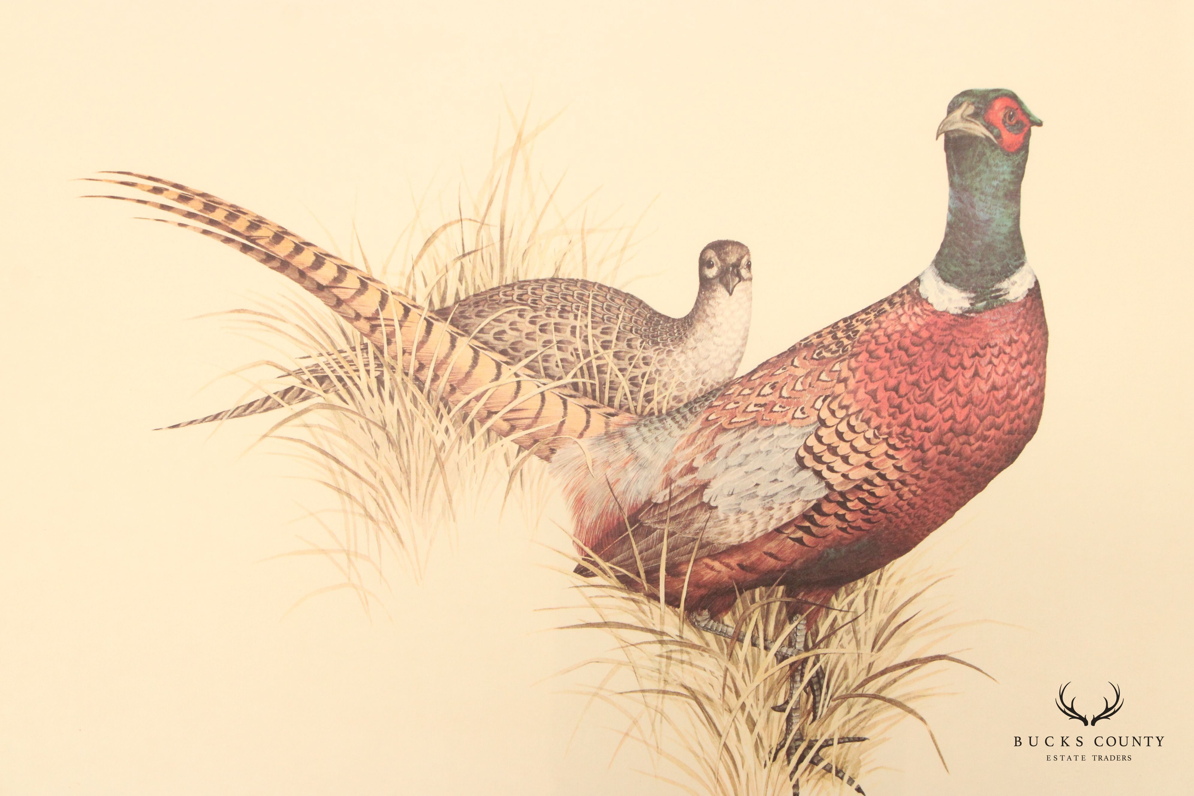 Charles E. Murphy 'Ring Neck Pheasant' Lithograph, Custom Framed