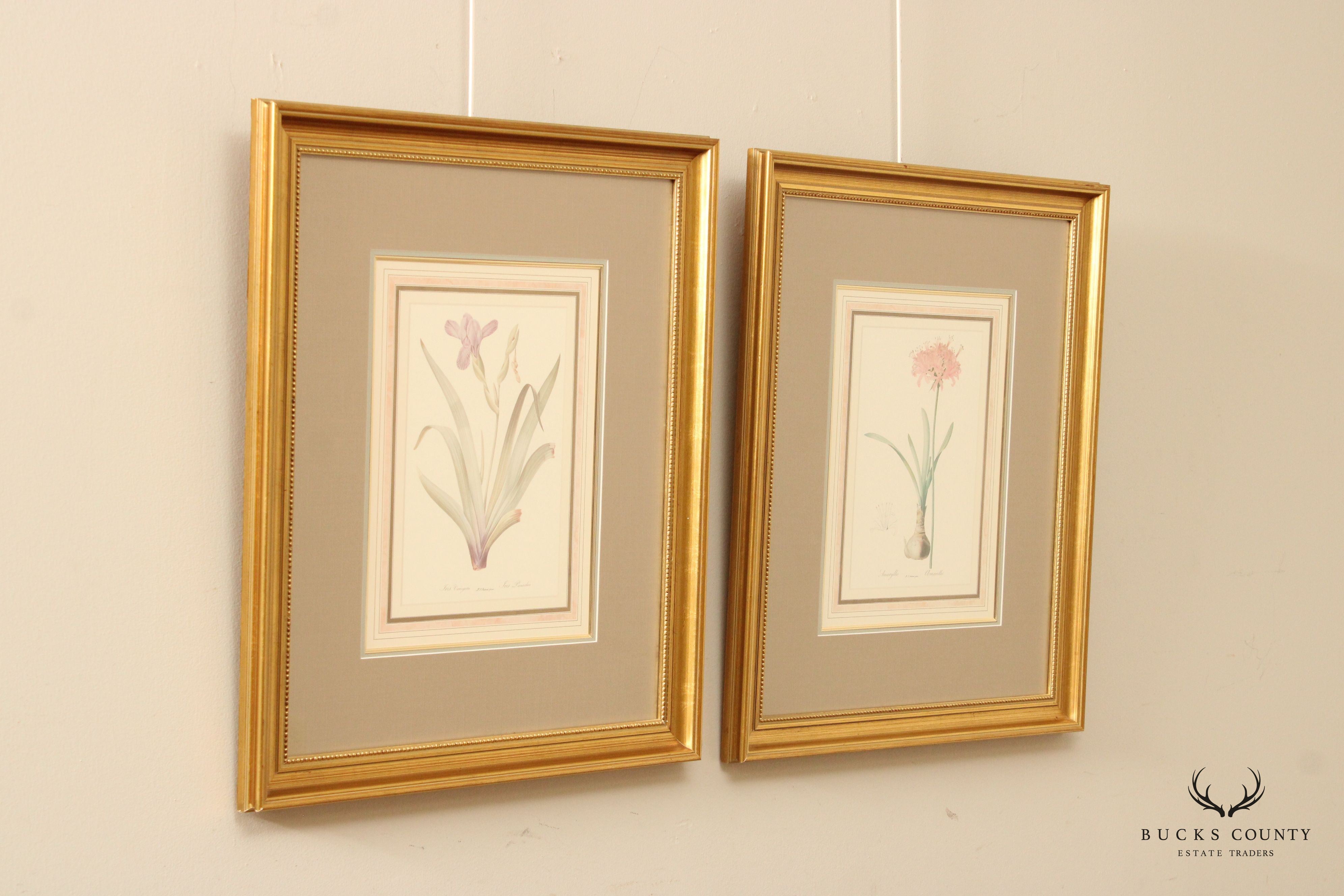 Vintage Pair Floral Botanical Prints After Pierre-Joseph Redouté