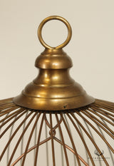 Antique Large Victorian HENDRYX Brass Hanging Dome Canary Bird