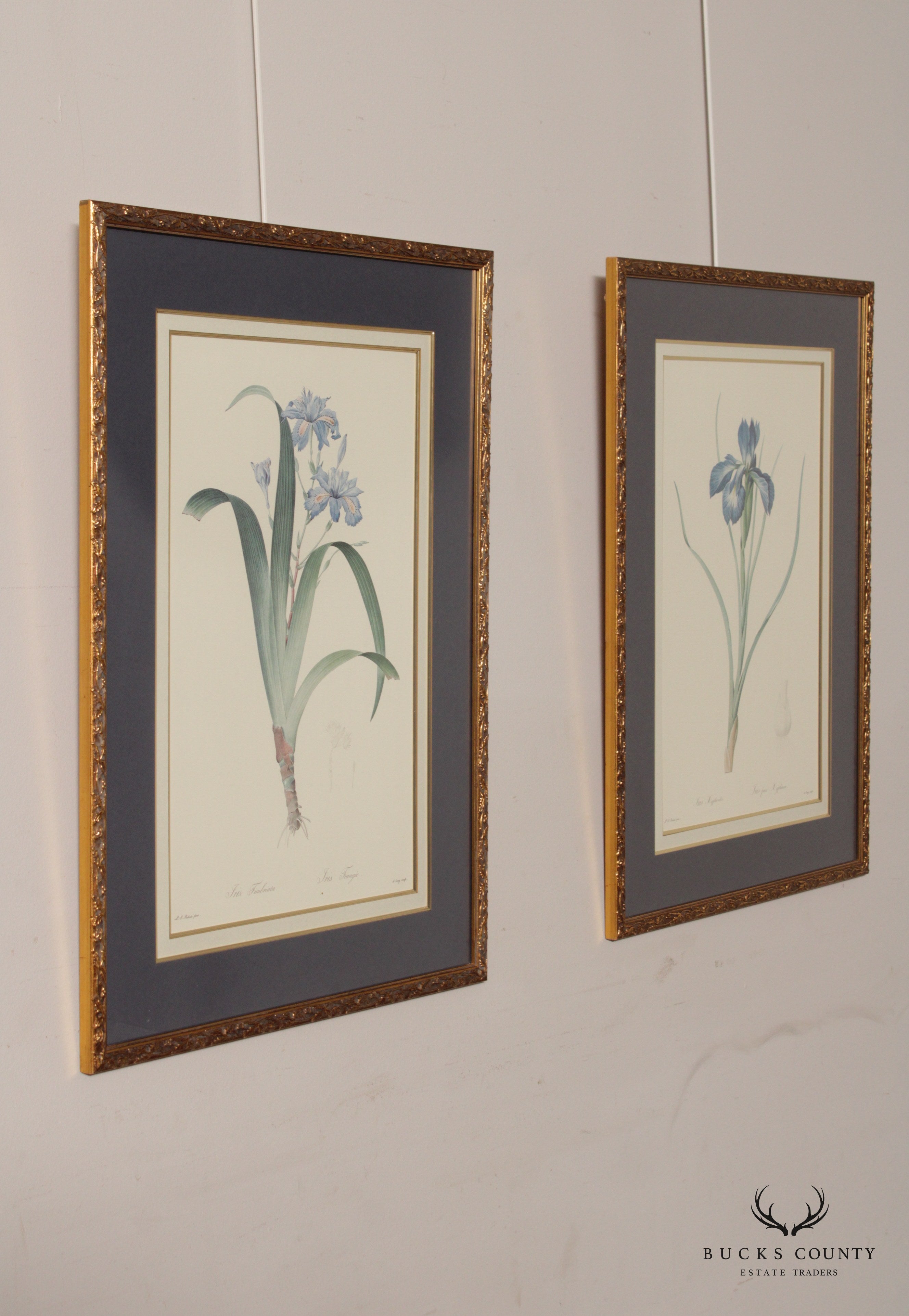 Vintage Pair of Iris Botanical Prints After Pierre-Joseph Redouté