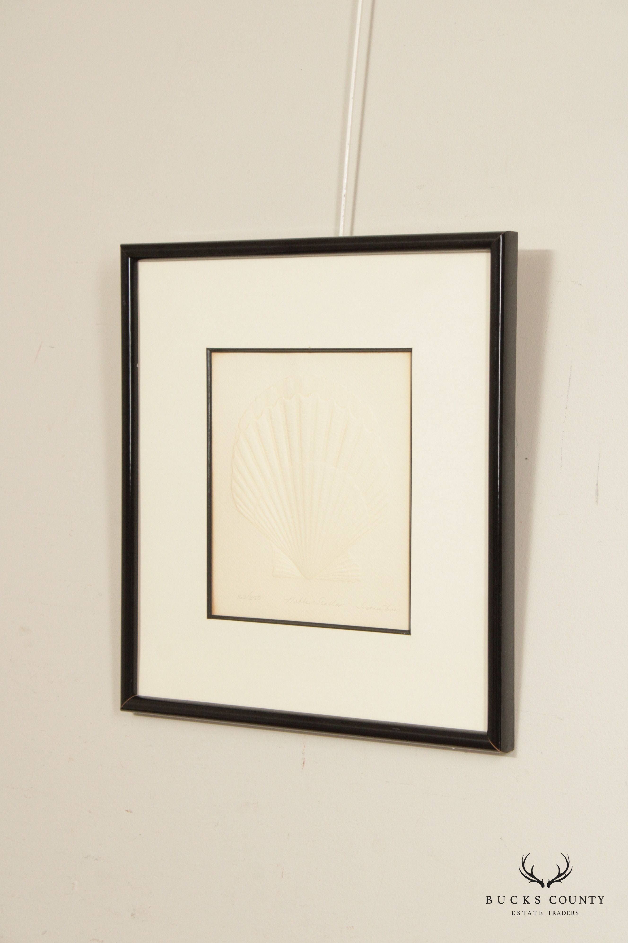 Suzanne Thomas 'Noble Scallop' Embossed Print, Custom Framed