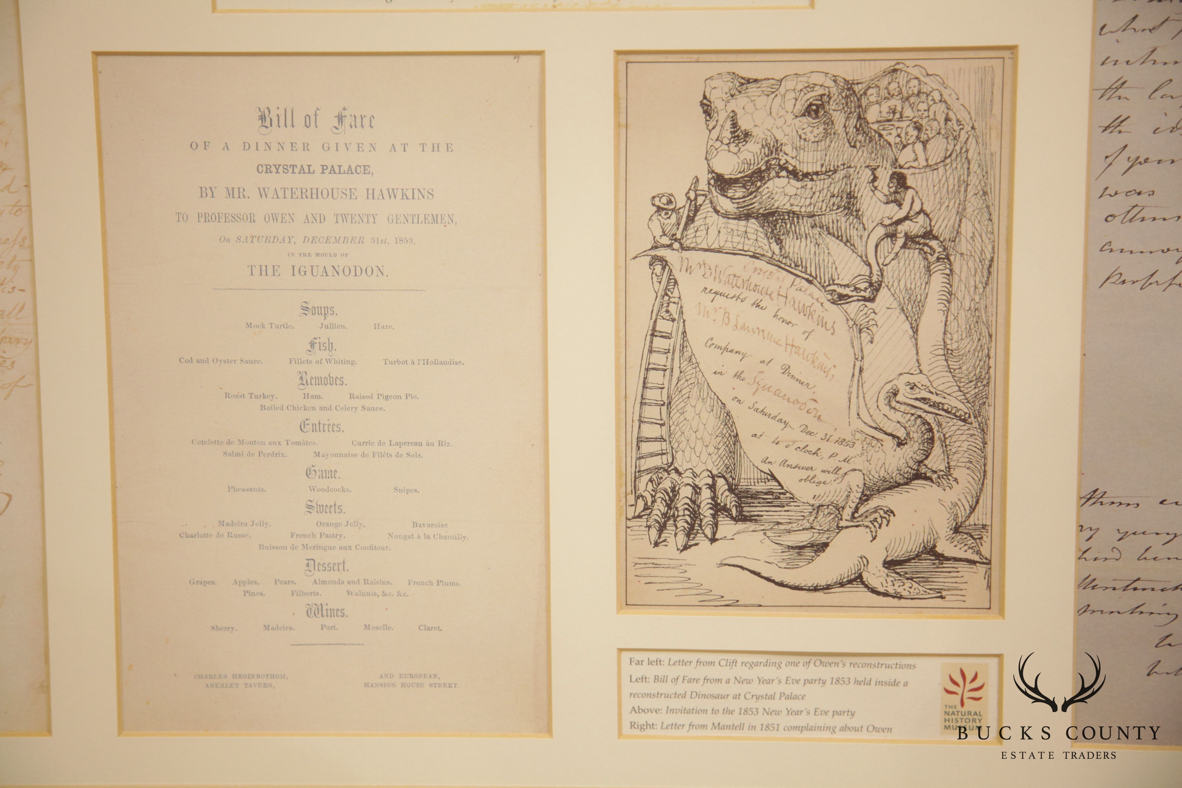 "Discovering Dinosaurs" Framed Replicas of Materials From the Archives of The Natural History Museum London