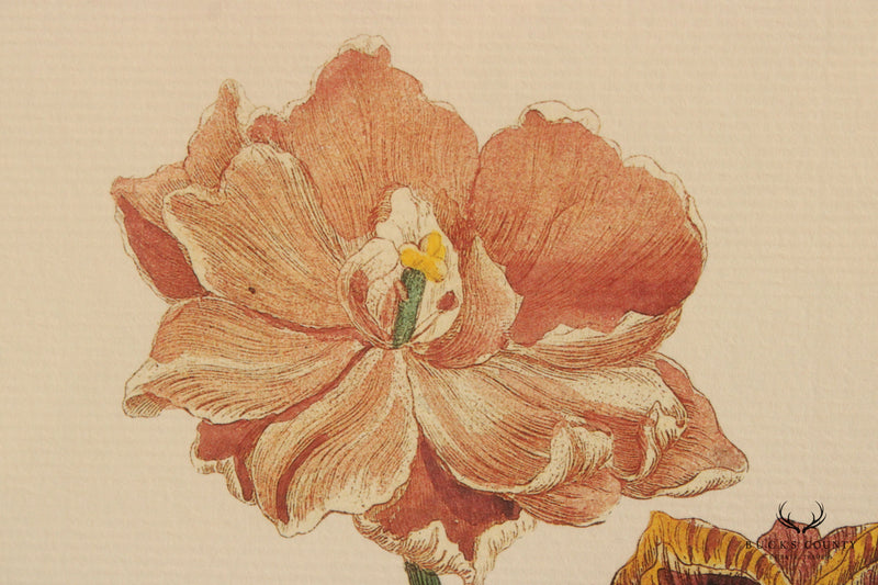 Chelsea House Tulip Botanical Lithograph, Custom Framed