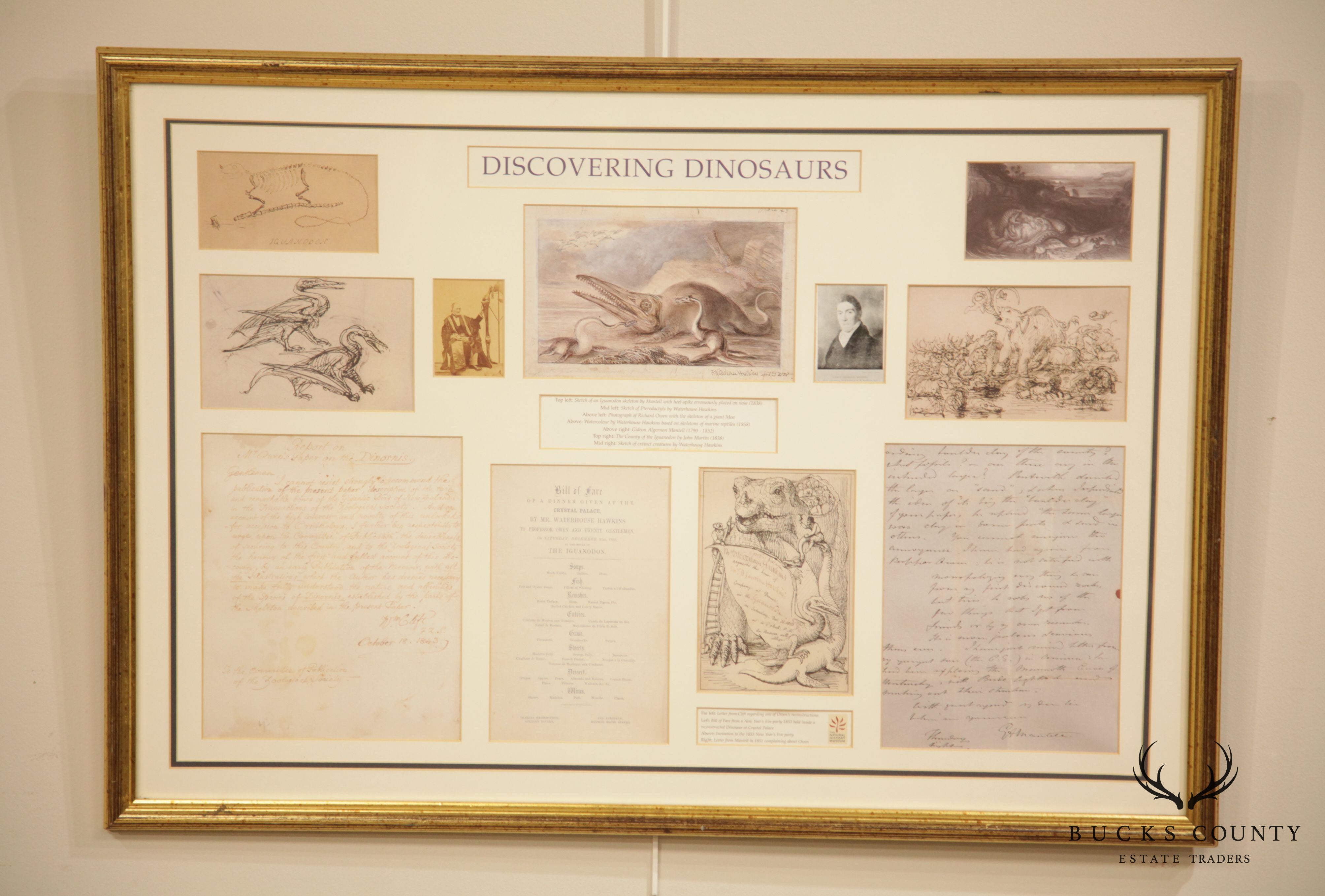 "Discovering Dinosaurs" Framed Replicas of Materials From the Archives of The Natural History Museum London