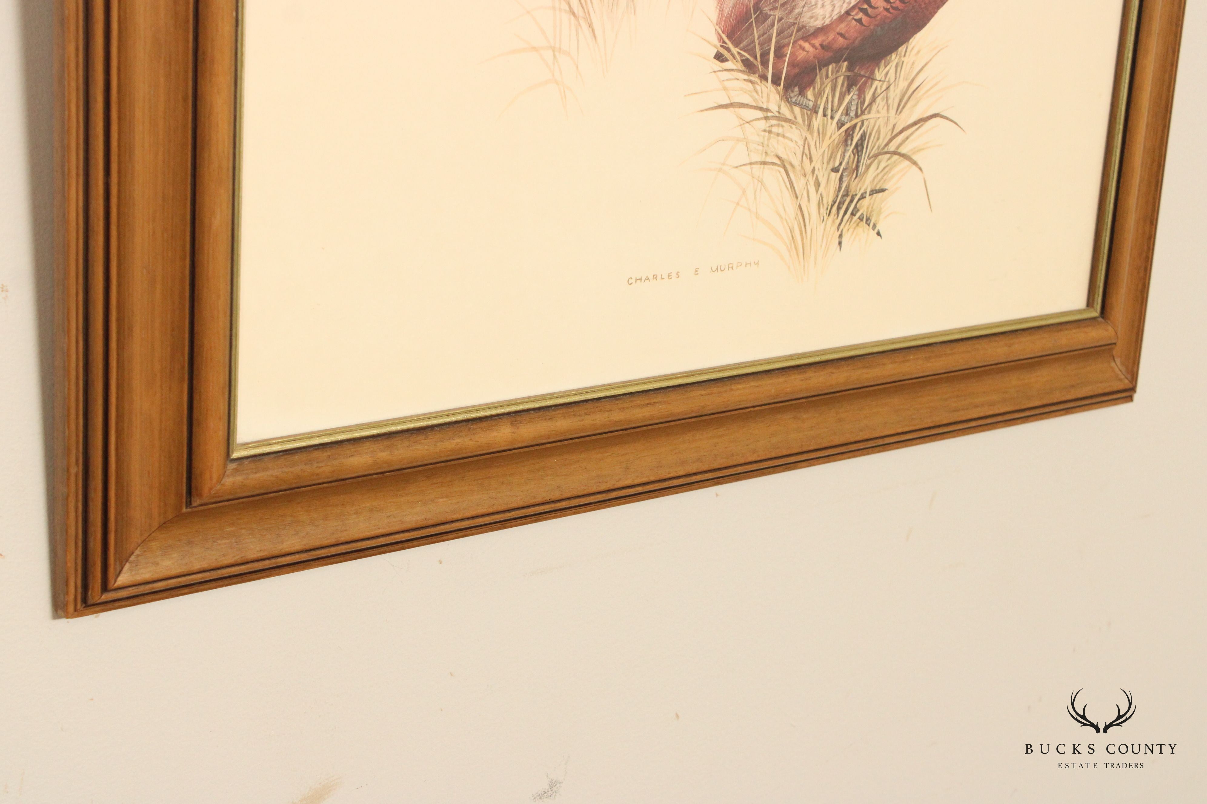 Charles E. Murphy 'Ring Neck Pheasant' Lithograph, Custom Framed