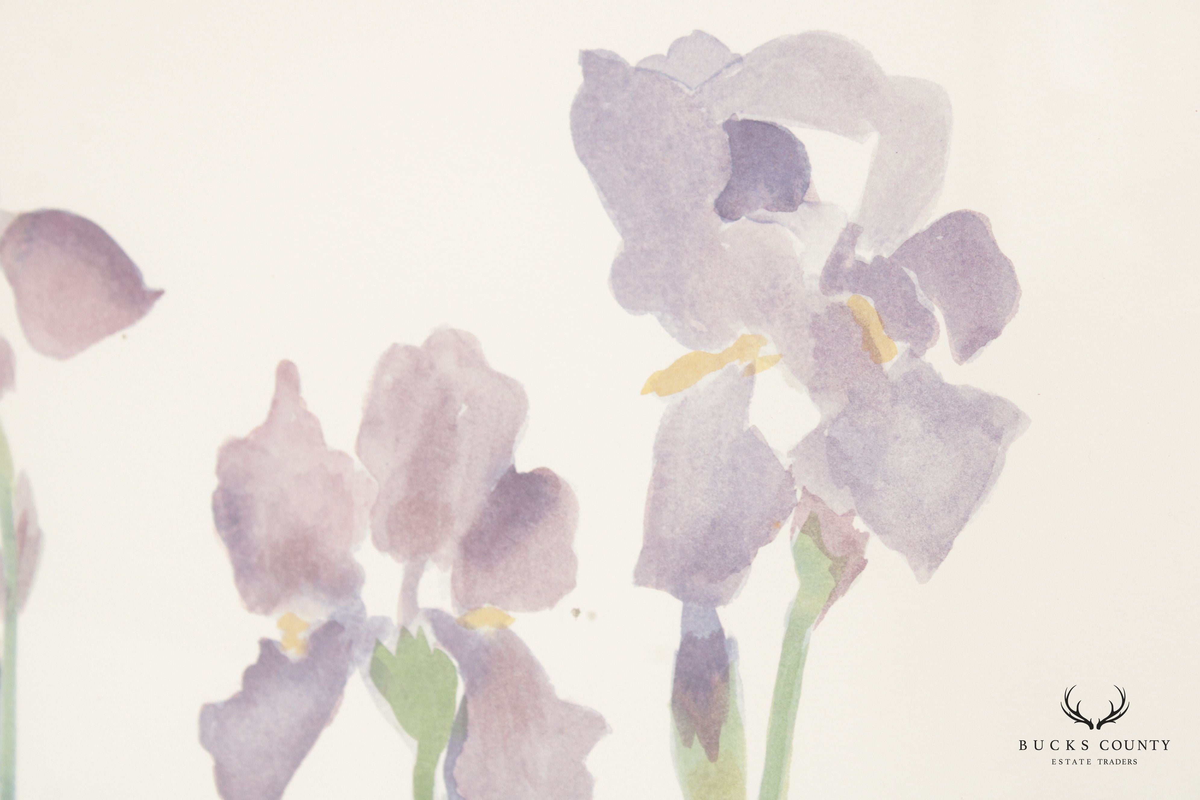 Susan Headley Van Campen 1980s 'Iris' Watercolor Painting, Custom Framed