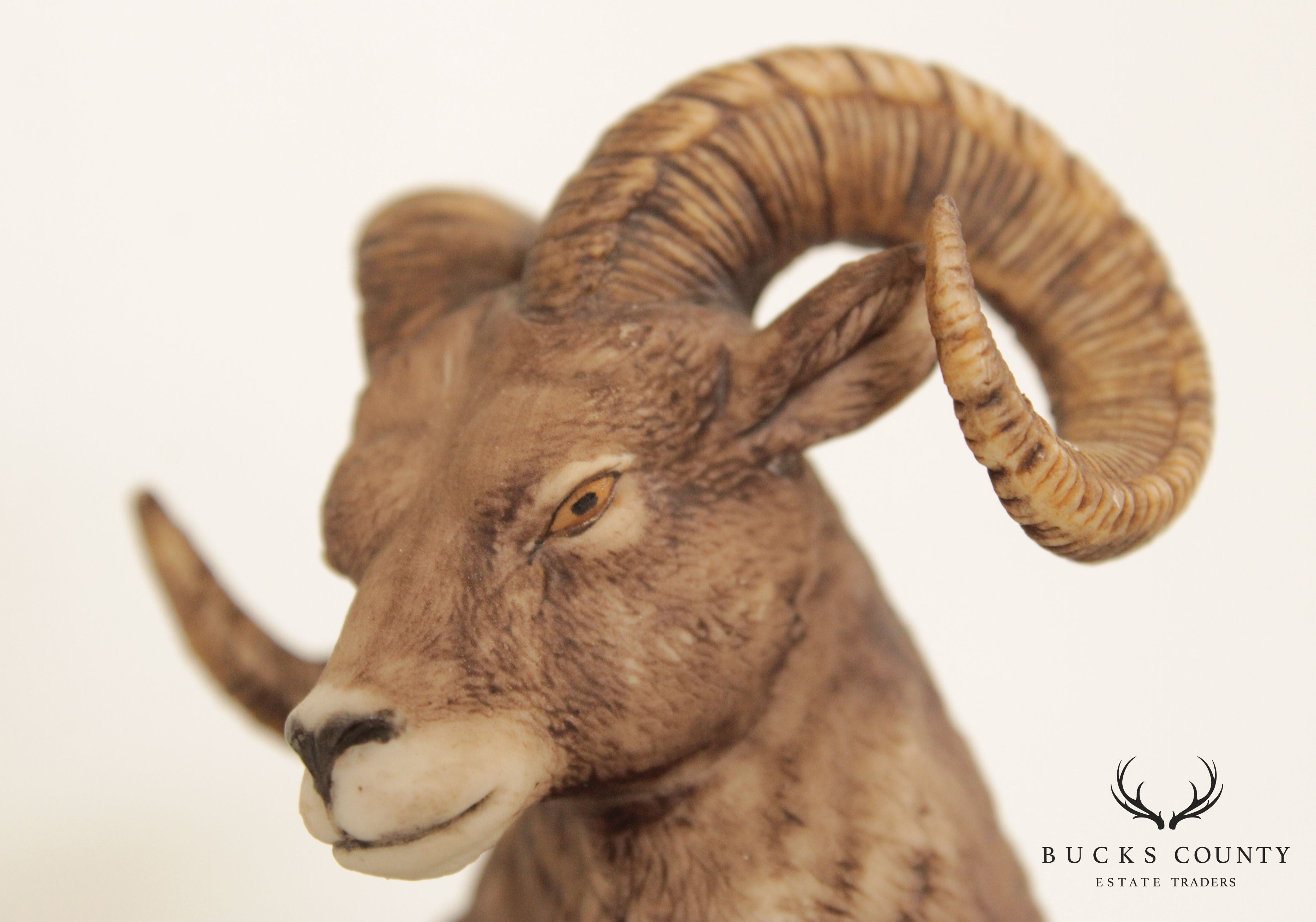 Lenox Wildlife of the Seven Continents, North American Bighorn Sheep