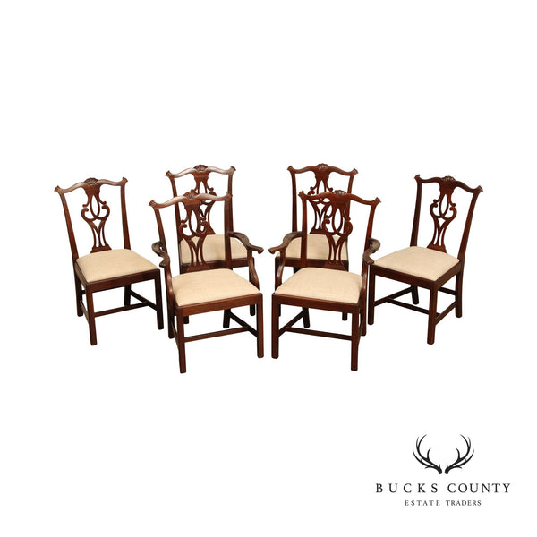 Stickley Chippendale Carved Cherry Set Six Dining Chairs