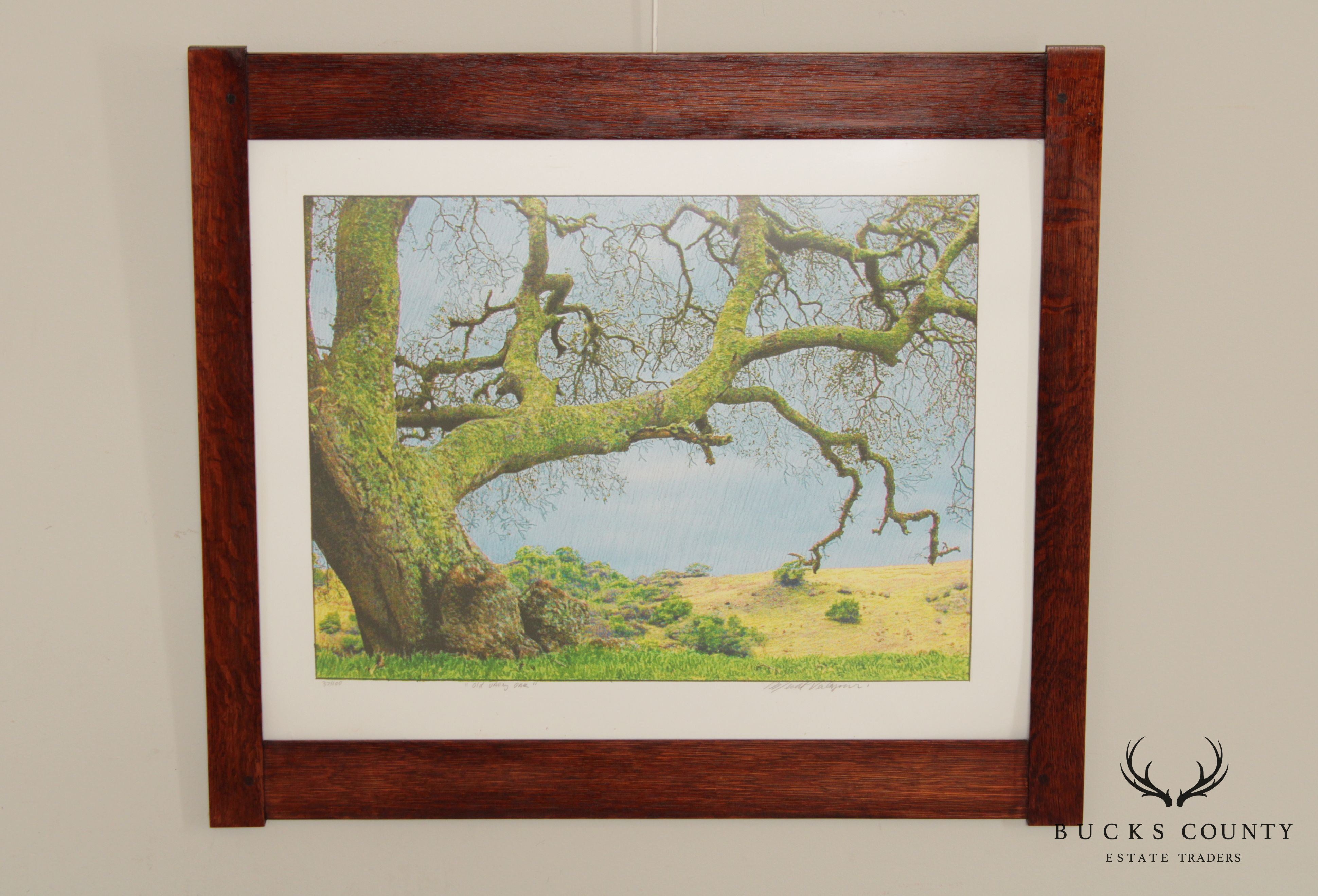 Michael Verlangieri 'Old Oak Valley' Giclee Print