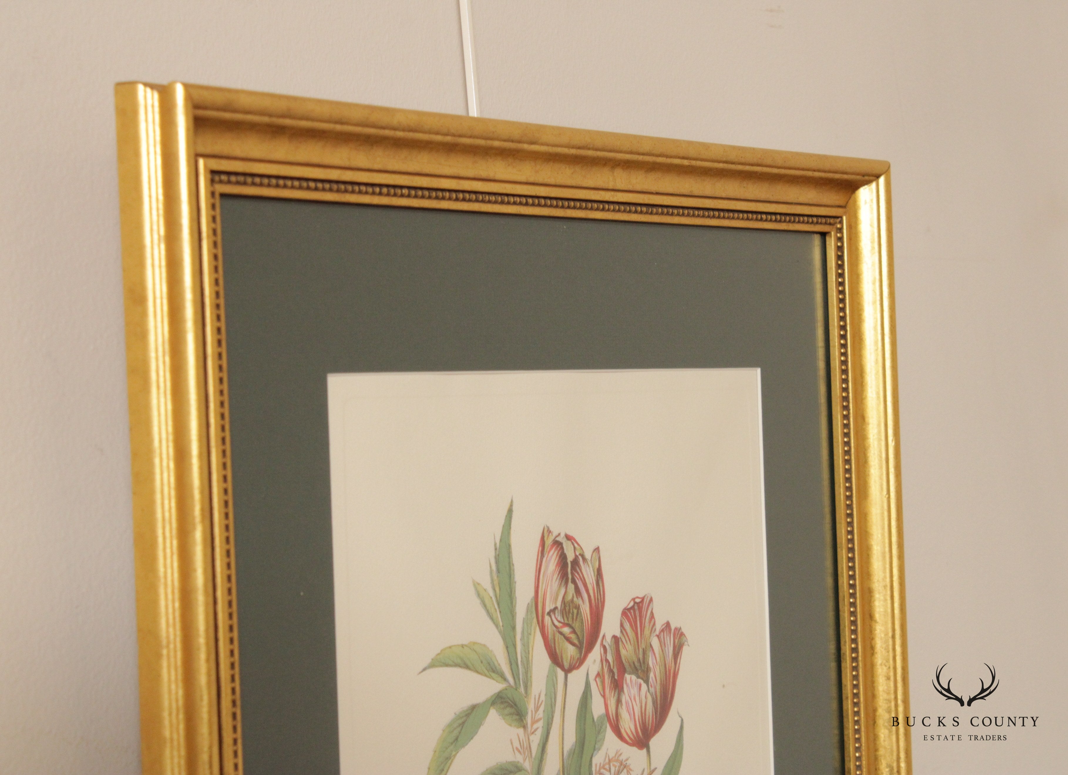 Vintage Tulip Botanical Lithograph Print Signed 'H. Ryan'