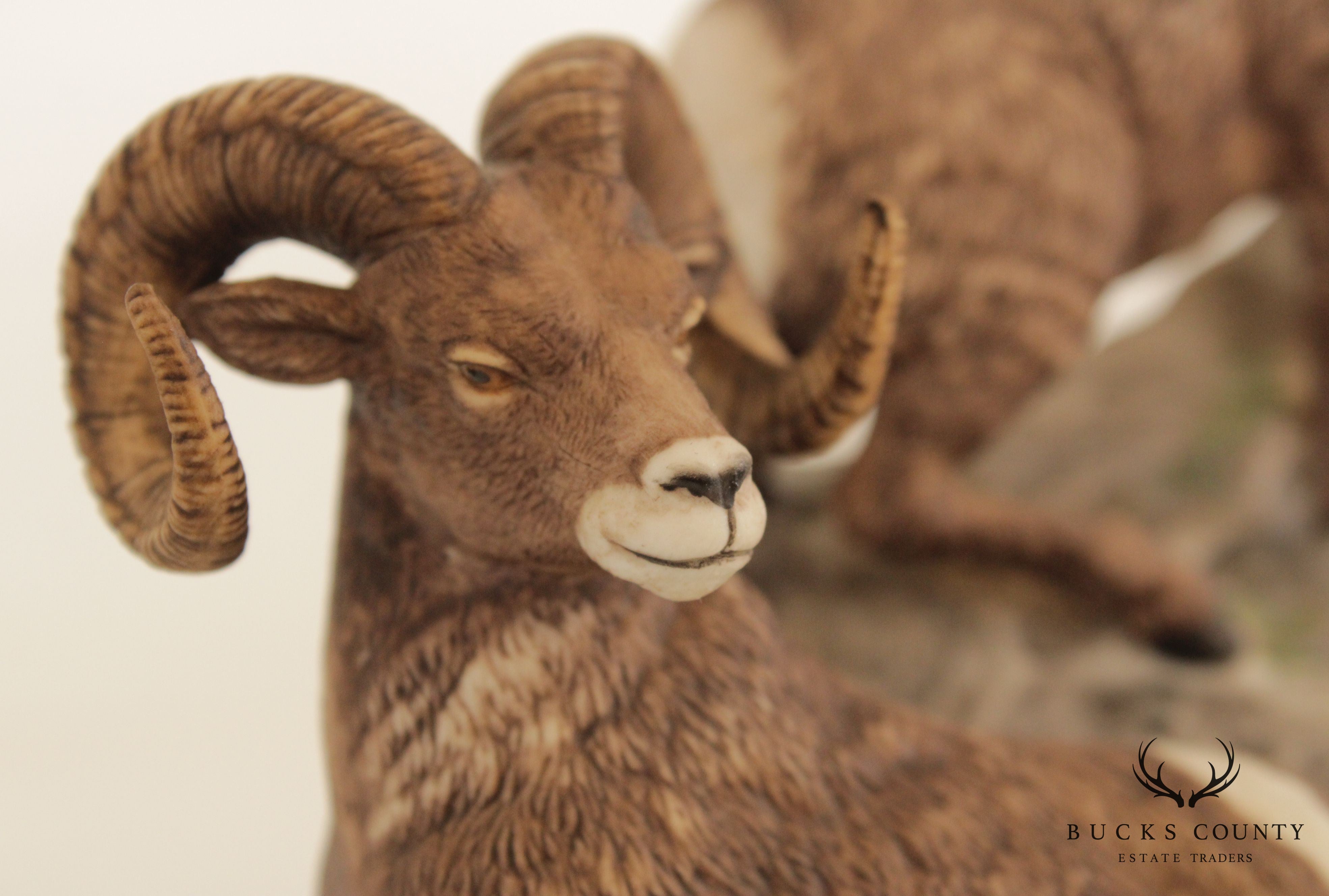 Lenox Wildlife of the Seven Continents, North American Bighorn Sheep