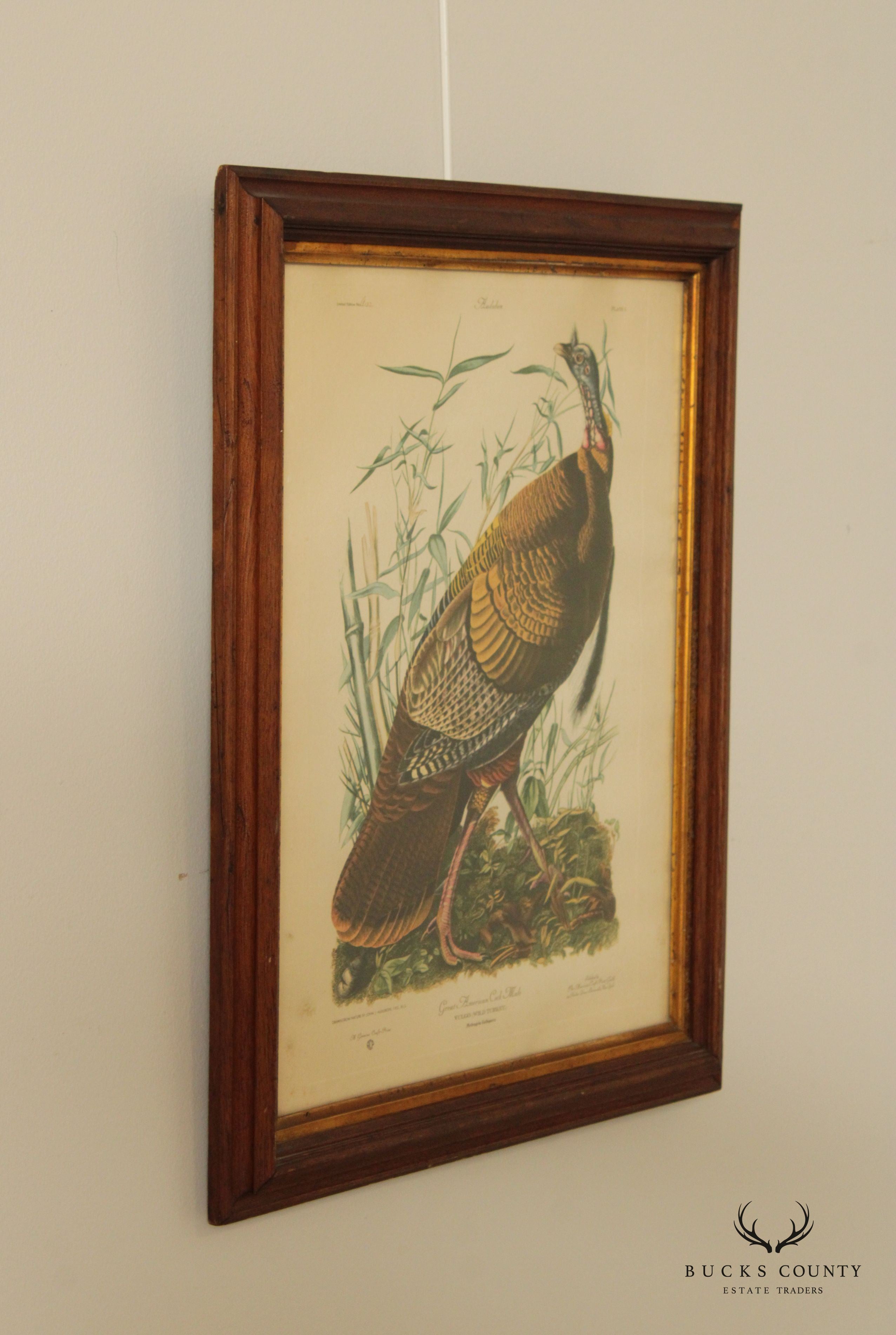 Vintage 20th C. American Craft Print Guild Wild Turkey, After John James Audubon