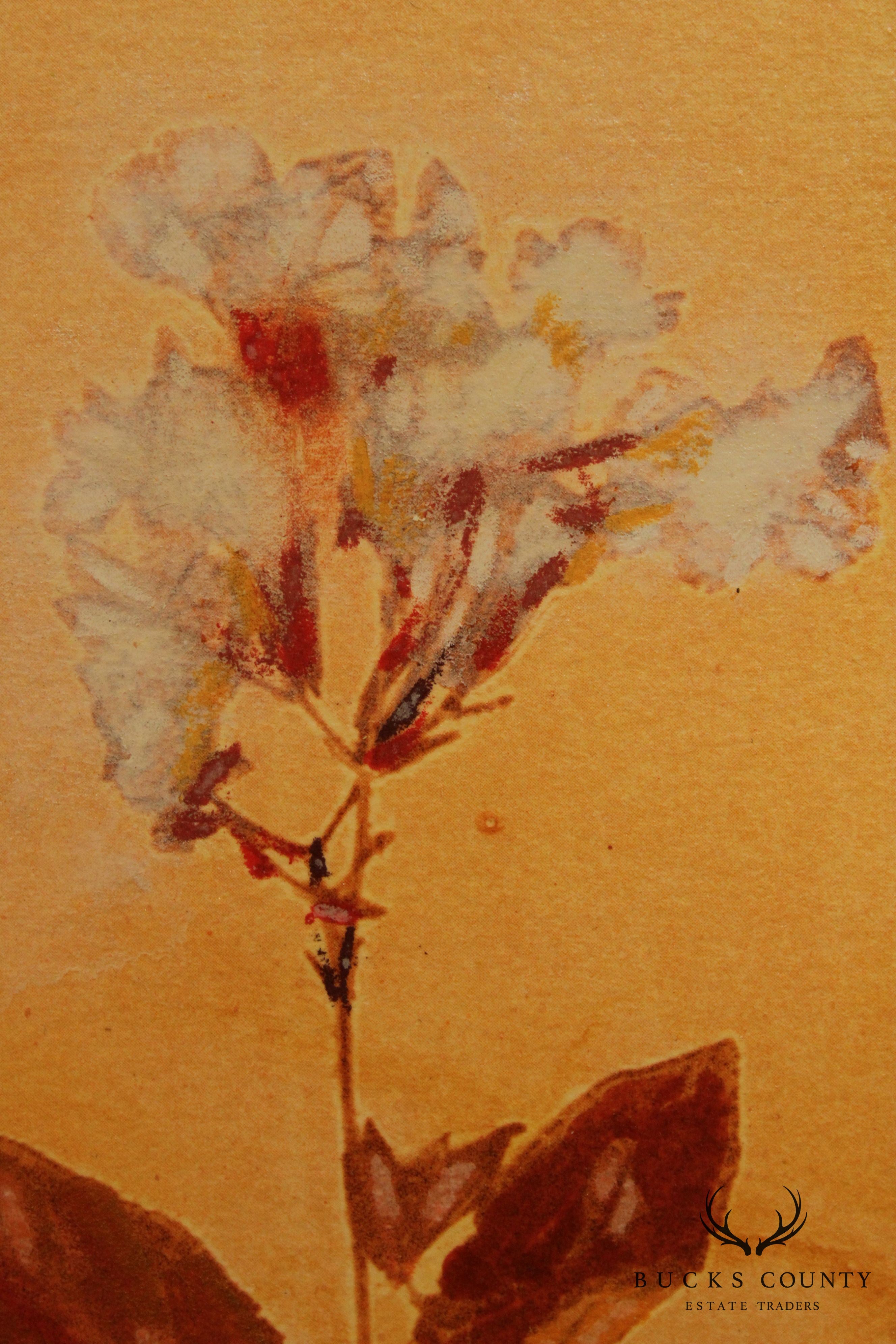 Pair of Botanical Ink-Wash Paintings