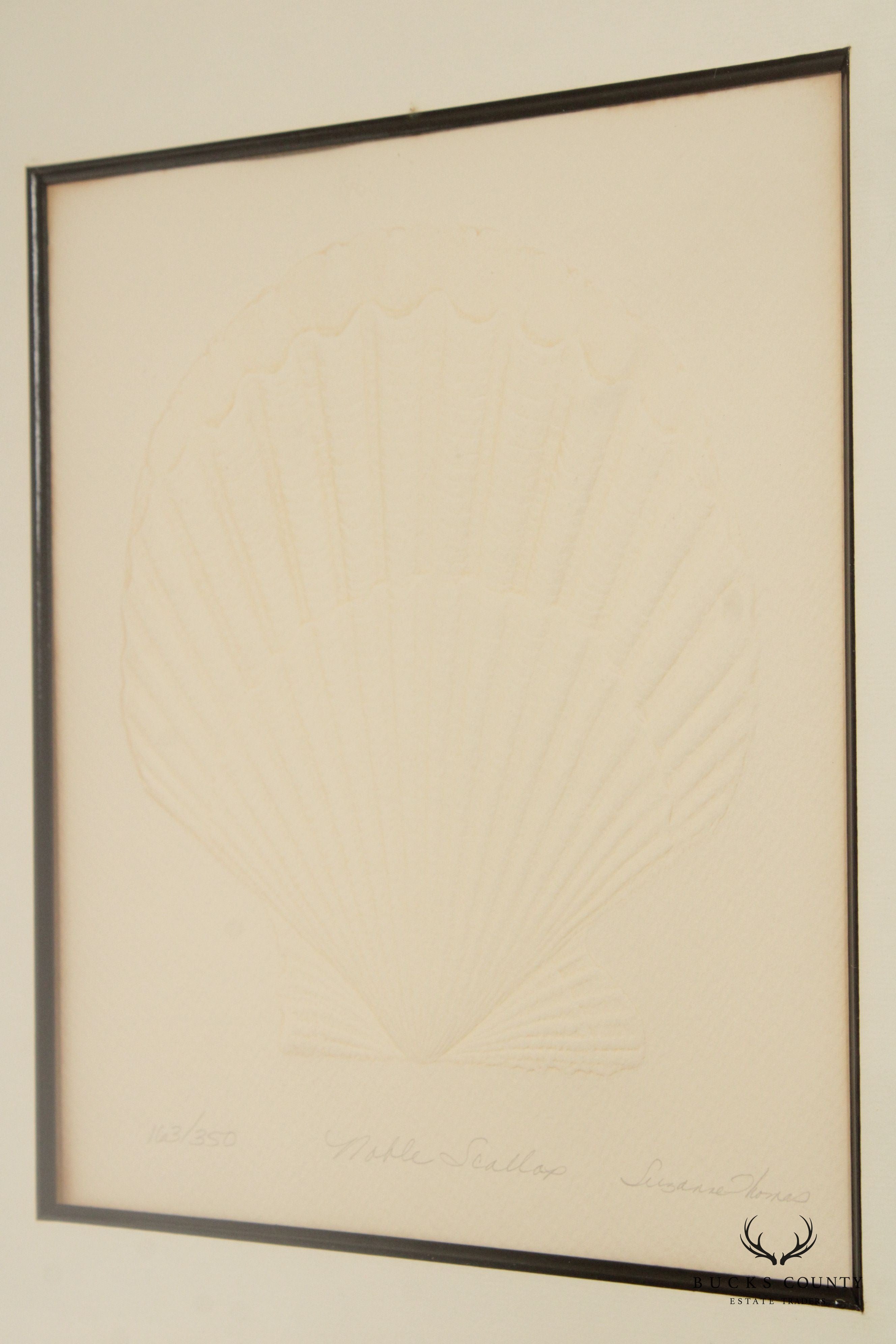 Suzanne Thomas 'Noble Scallop' Embossed Print, Custom Framed