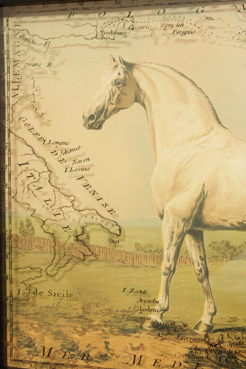 Malvern Saddlery Equestrian Pair Framed Art Prints
