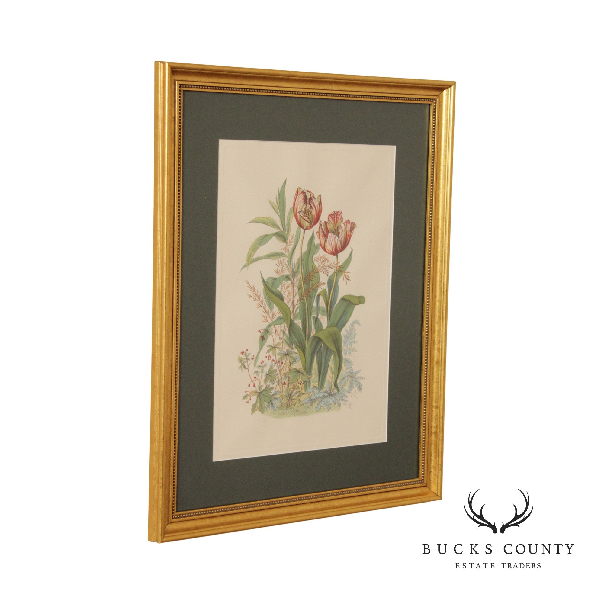 Vintage Tulip Botanical Lithograph Print Signed 'H. Ryan'