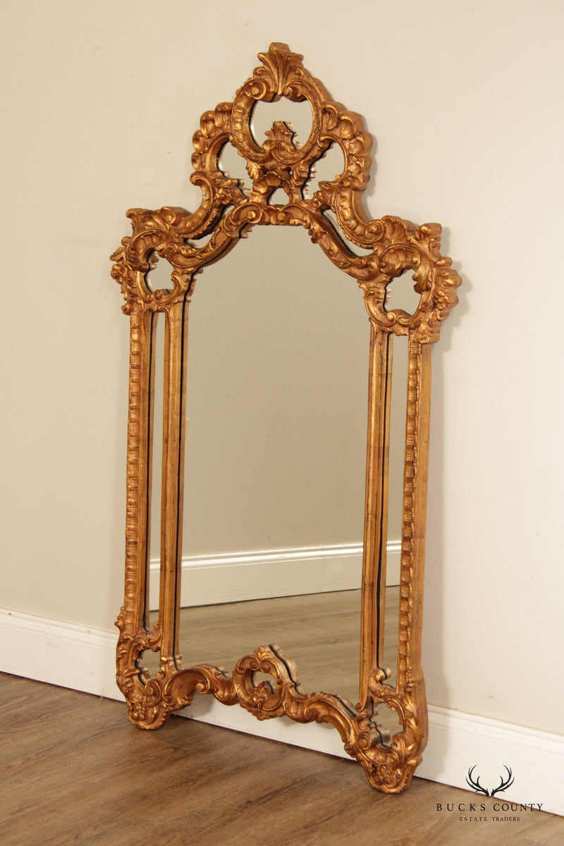 Raschella Collection Rococo Style Gold Frame Wall Mirror