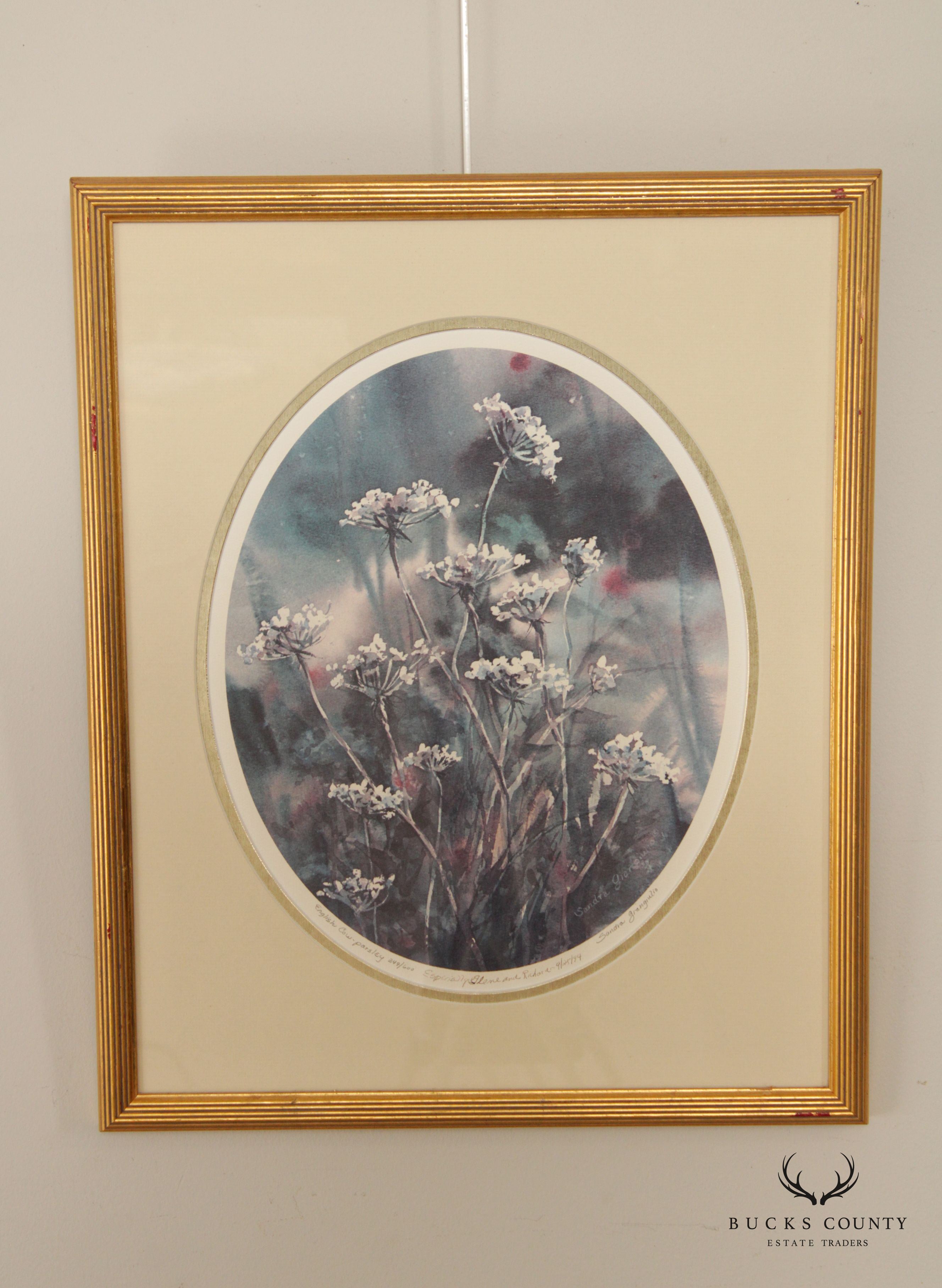 Sandra Giangiulio 'English Cow-Parsley' Watercolor Lithograph Print