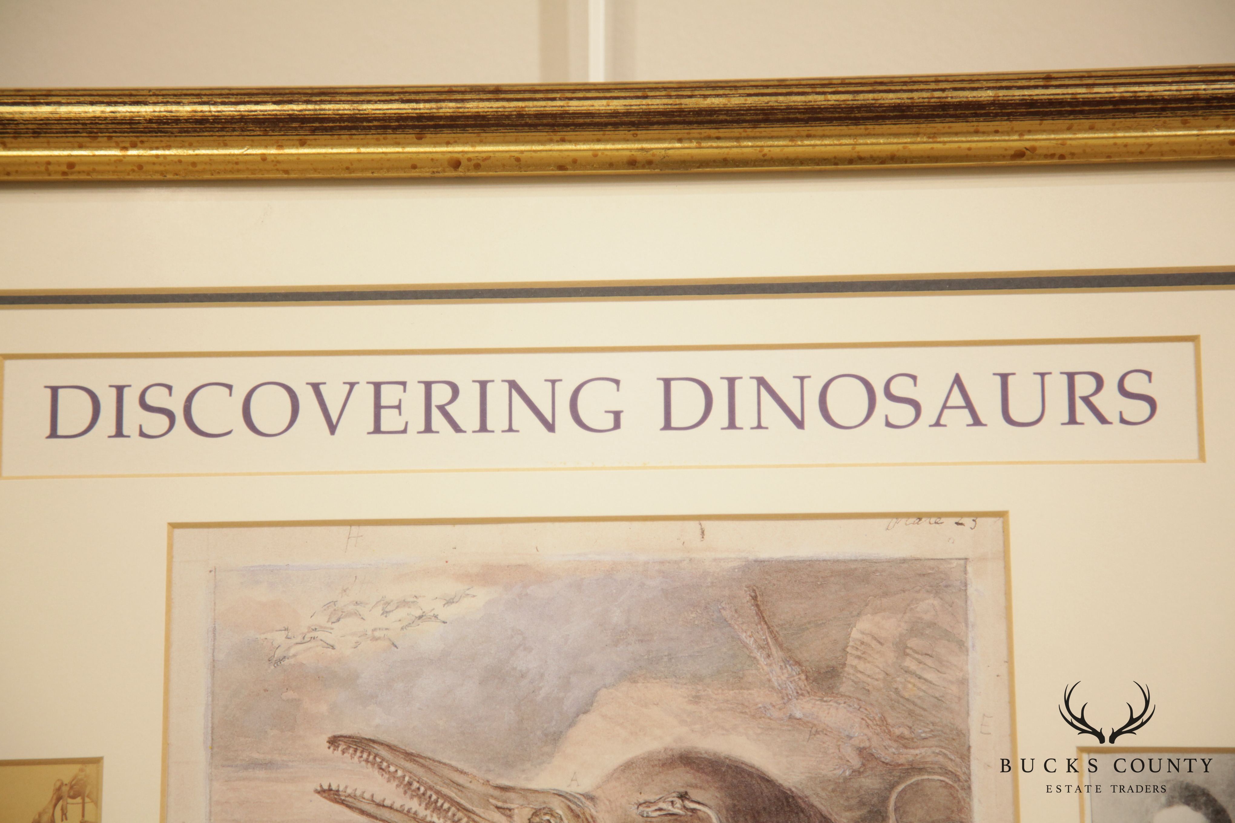 "Discovering Dinosaurs" Framed Replicas of Materials From the Archives of The Natural History Museum London