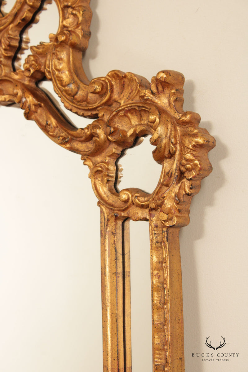Raschella Collection Rococo Style Gold Frame Wall Mirror