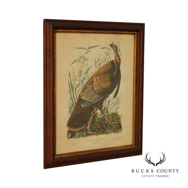 Vintage 20th C. American Craft Print Guild Wild Turkey, After John James Audubon