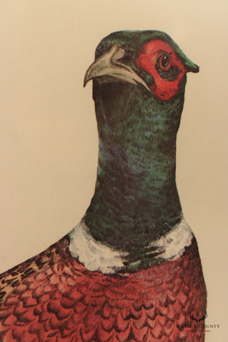 Charles E. Murphy 'Ring Neck Pheasant' Lithograph, Custom Framed